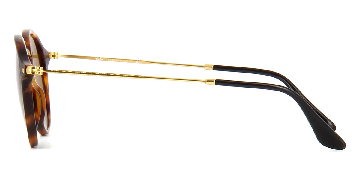 Ray-Ban Icons Round RB 2447 1160