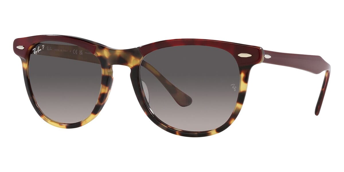 Ray-Ban EagleEye RB 2398 1377/M3 Polarised
