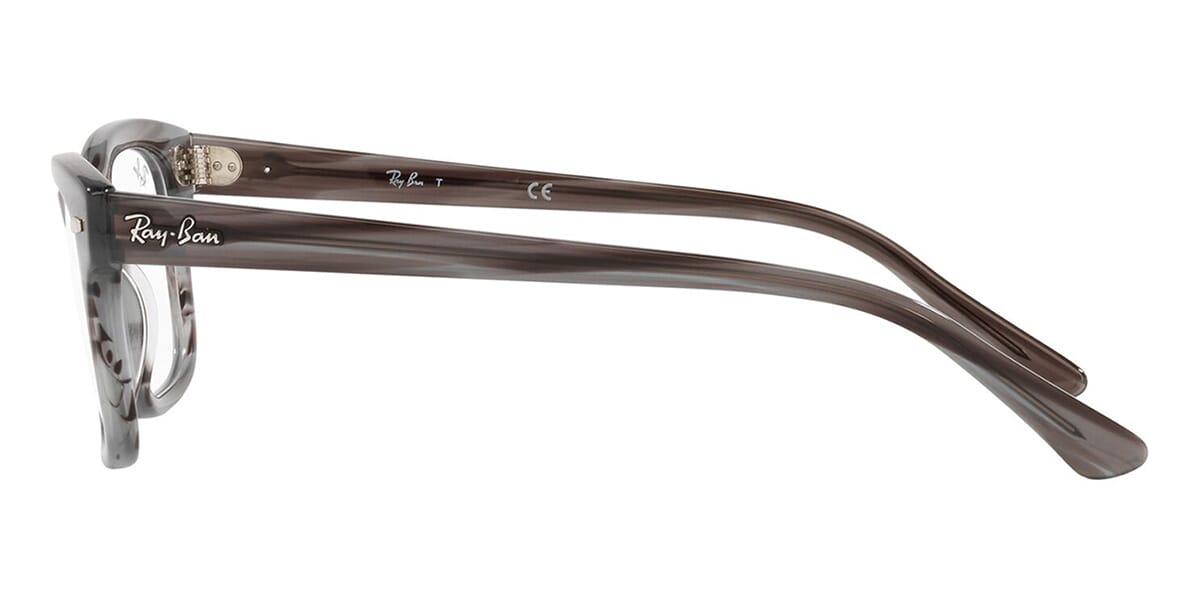 Ray-Ban Mr Burbank RB 5383 8055