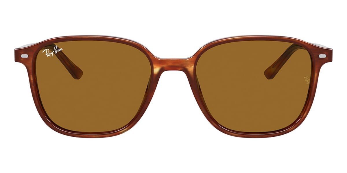 Ray-Ban Leonard RB 2193 954/33