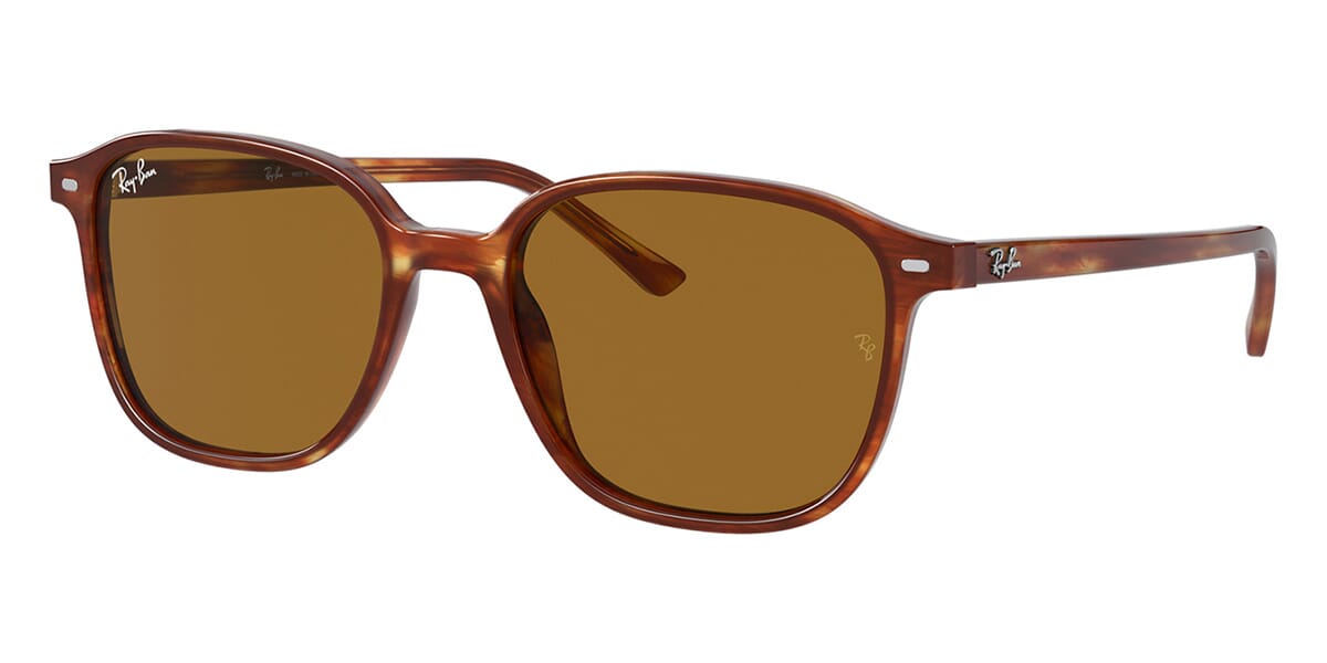 Ray-Ban Leonard RB 2193 954/33