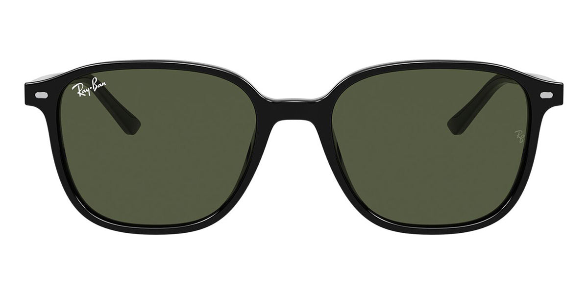 Ray-Ban Leonard RB 2193 901/31