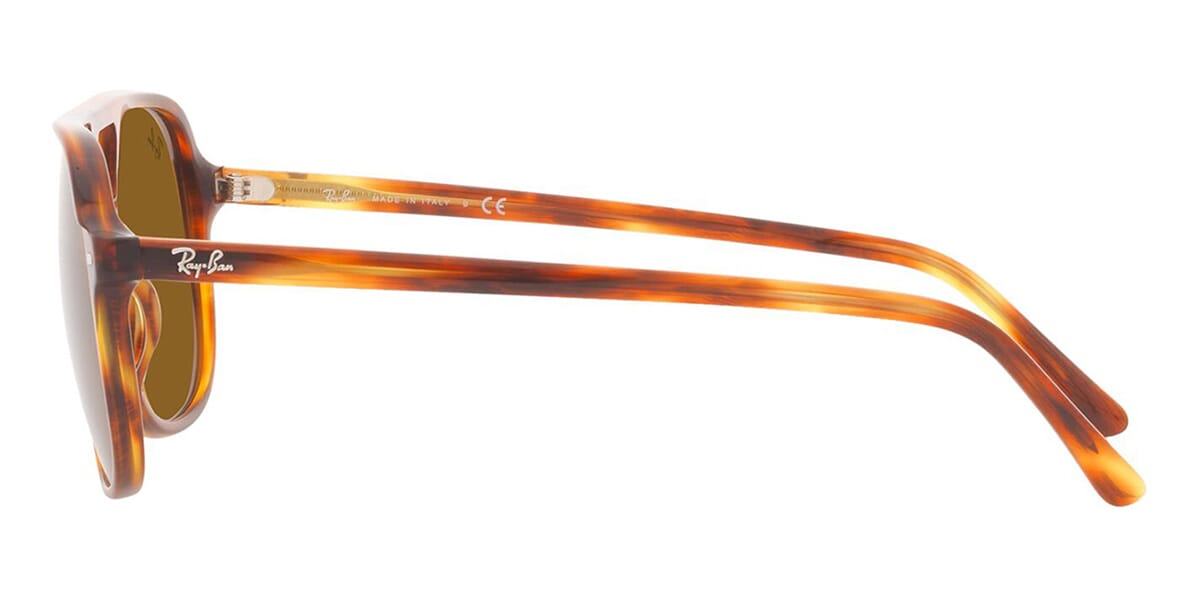 Ray-Ban Bill RB 2198 954/33