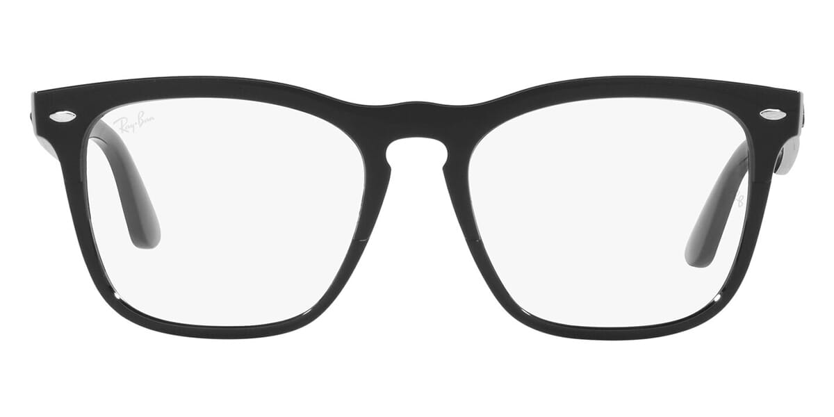 Ray-Ban Steve RB 4487V 8192