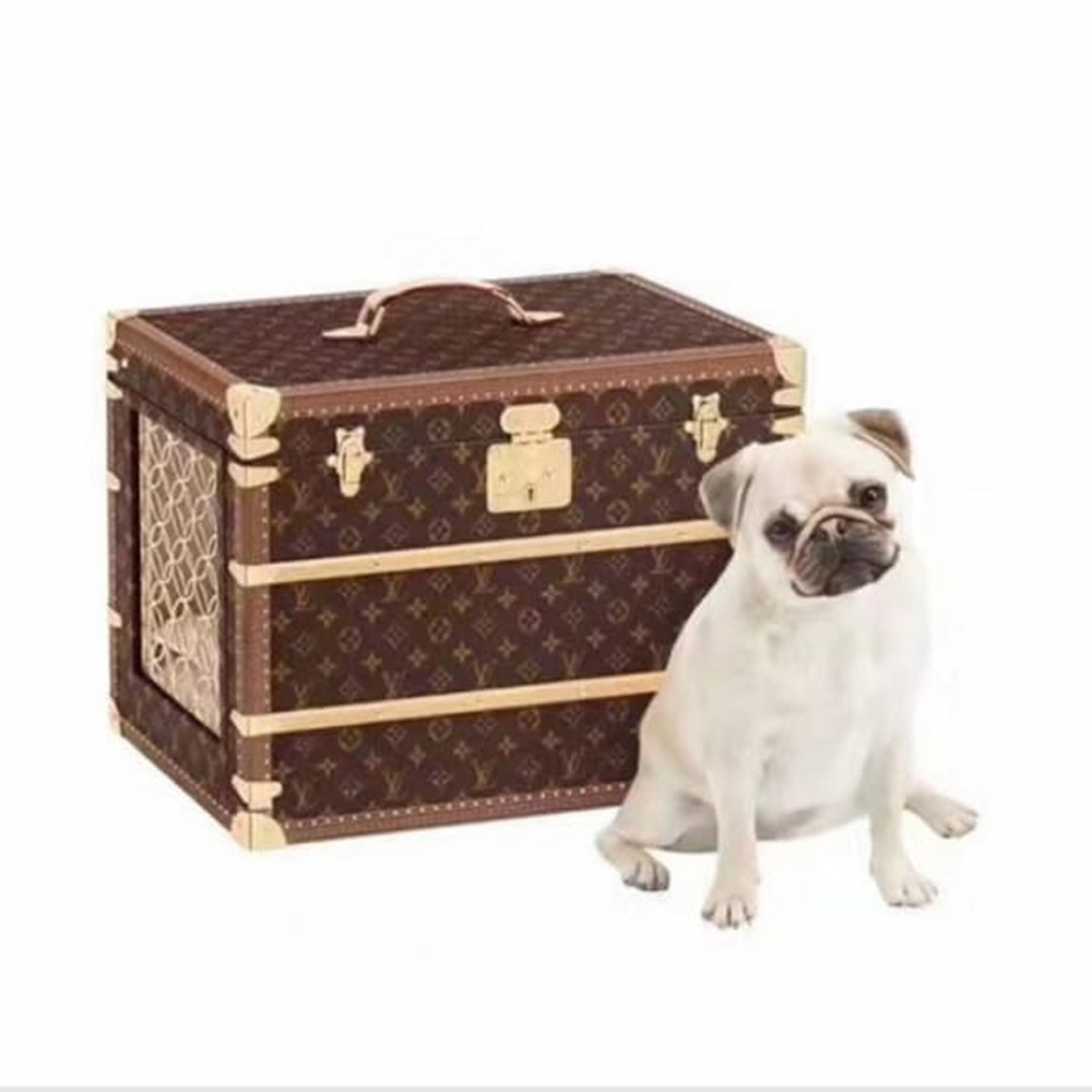 Louis Vuitton NIGO Leather Pet Box Bag Bags #nigo4479