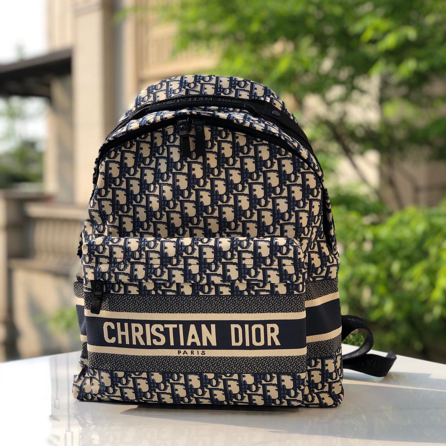 Dior NIGO Canvas Printed Backpack Bag #nigo9414