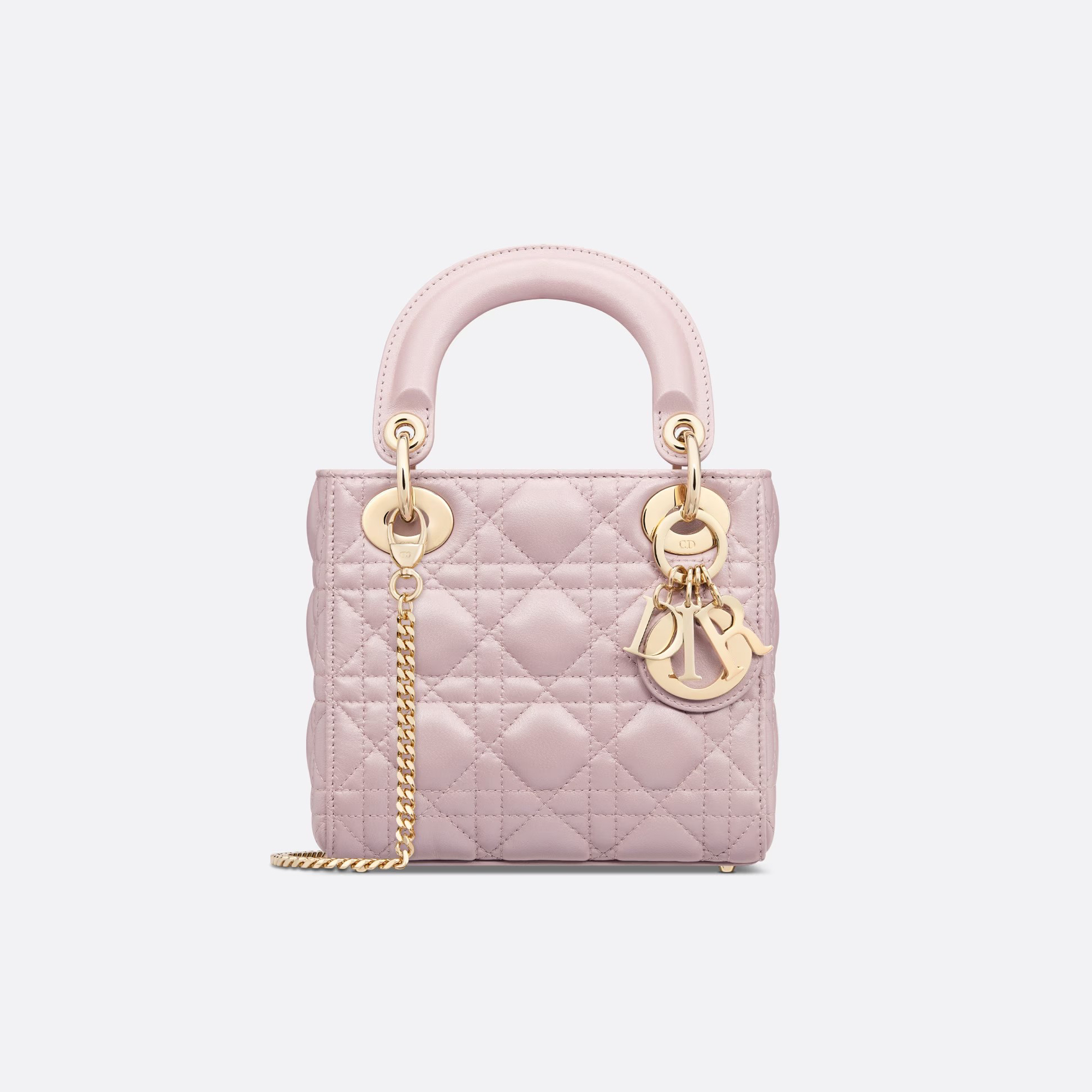 Dior NIGO Leather Carrying Chain Bag #nigo21446