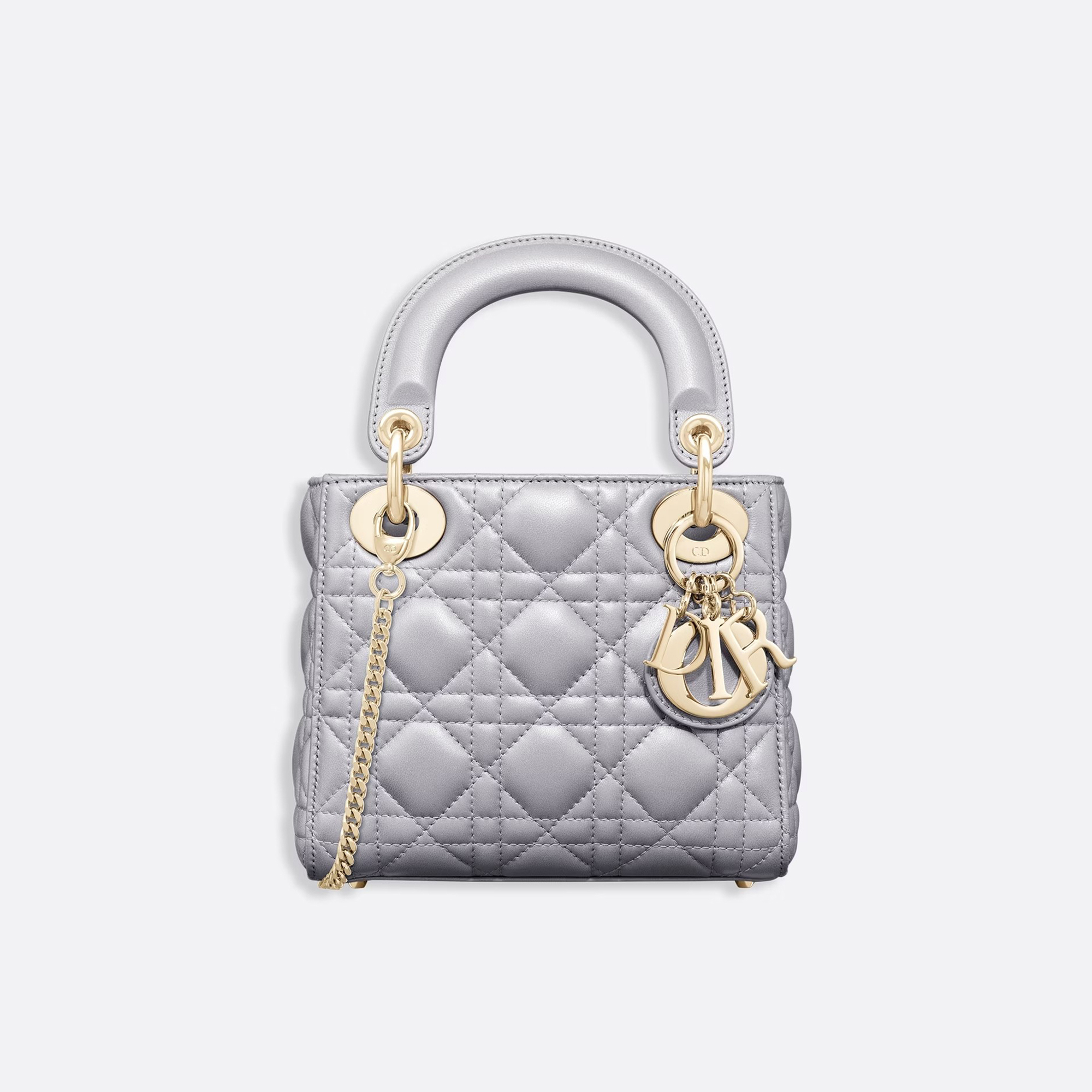 Dior NIGO Leather Carrying Chain Bag #nigo21446