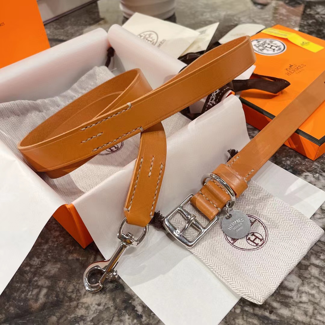 Hermes Pet Neck Collar#nigo57569