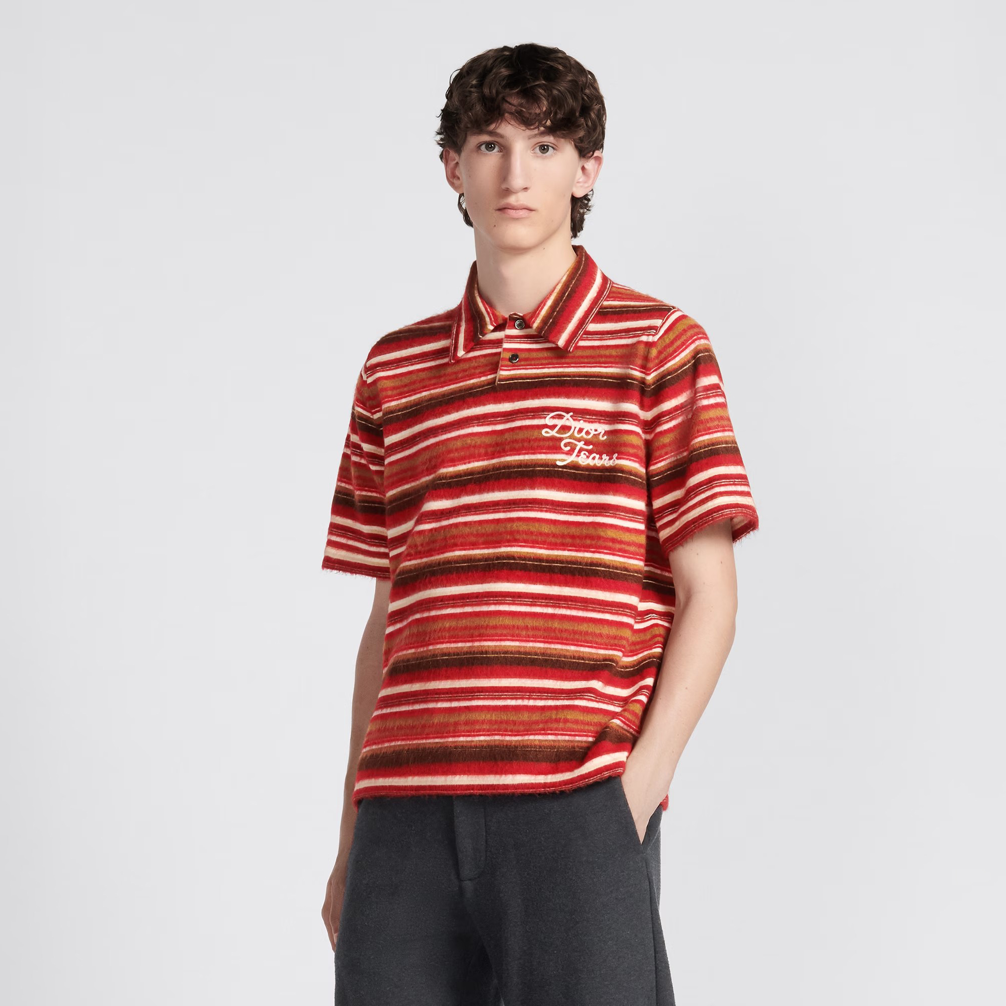 Dior Tears Polo Shirt Red Striped Short Sleeved T-shirt #nigo96239