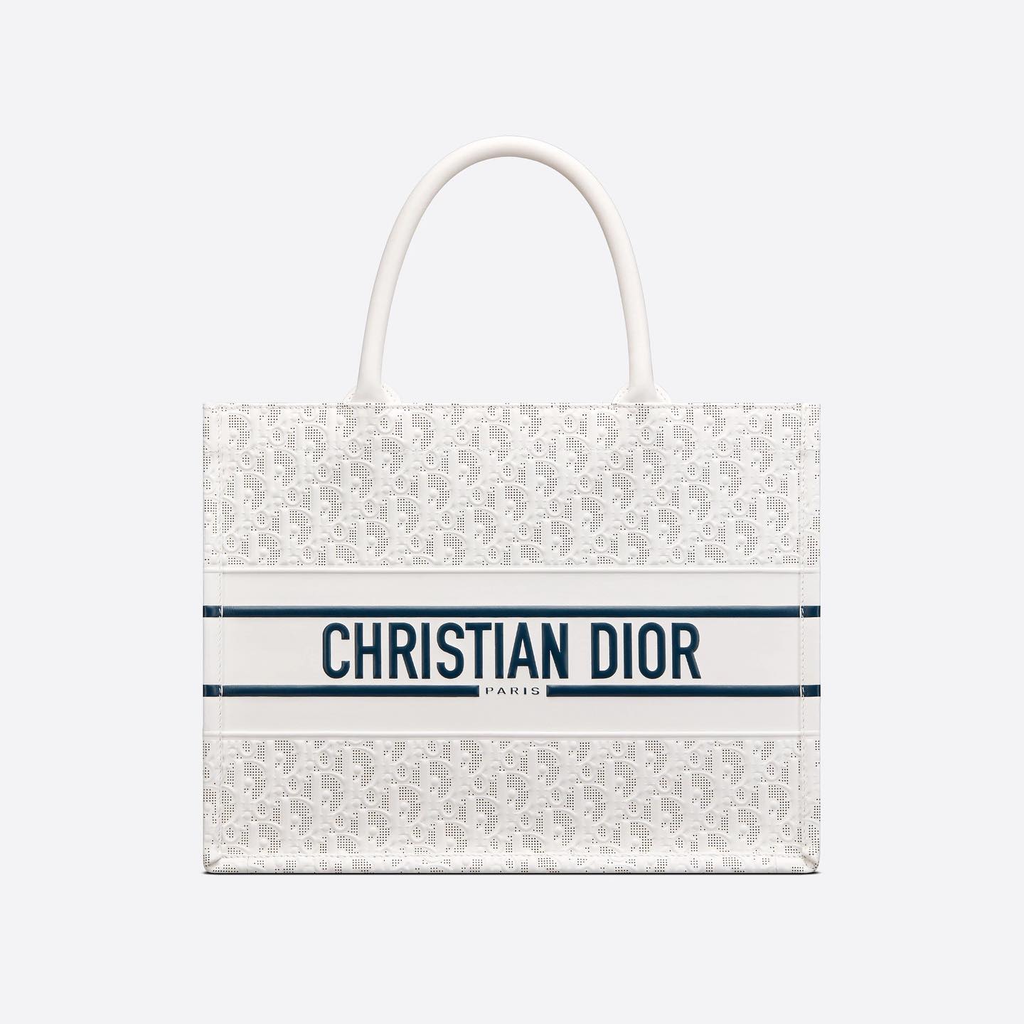 DIOR Hollow Embossed Logo Leather Bag Bags #nigo4457
