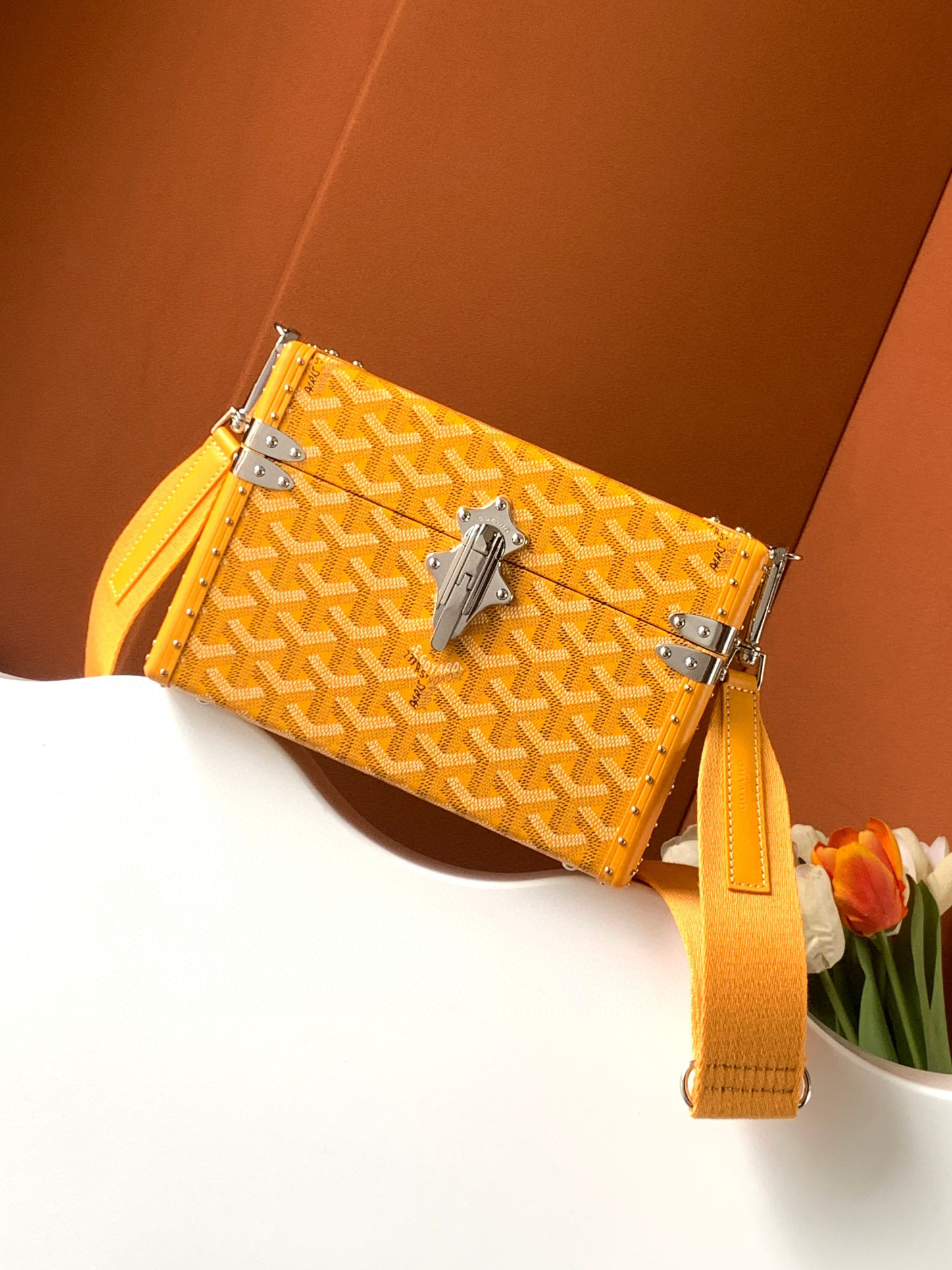 GOYARD Leather Box Shoulder Strap Oblique Straddle Bag #nigo21779