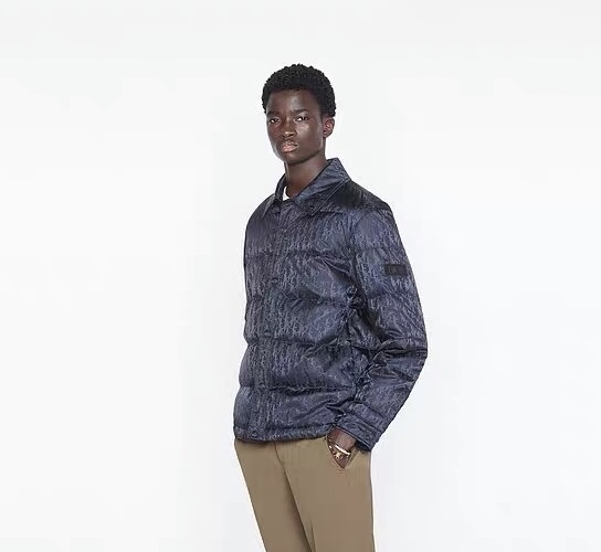 Dior Button Up Shirt Puffer Down Jacket #nigo56289