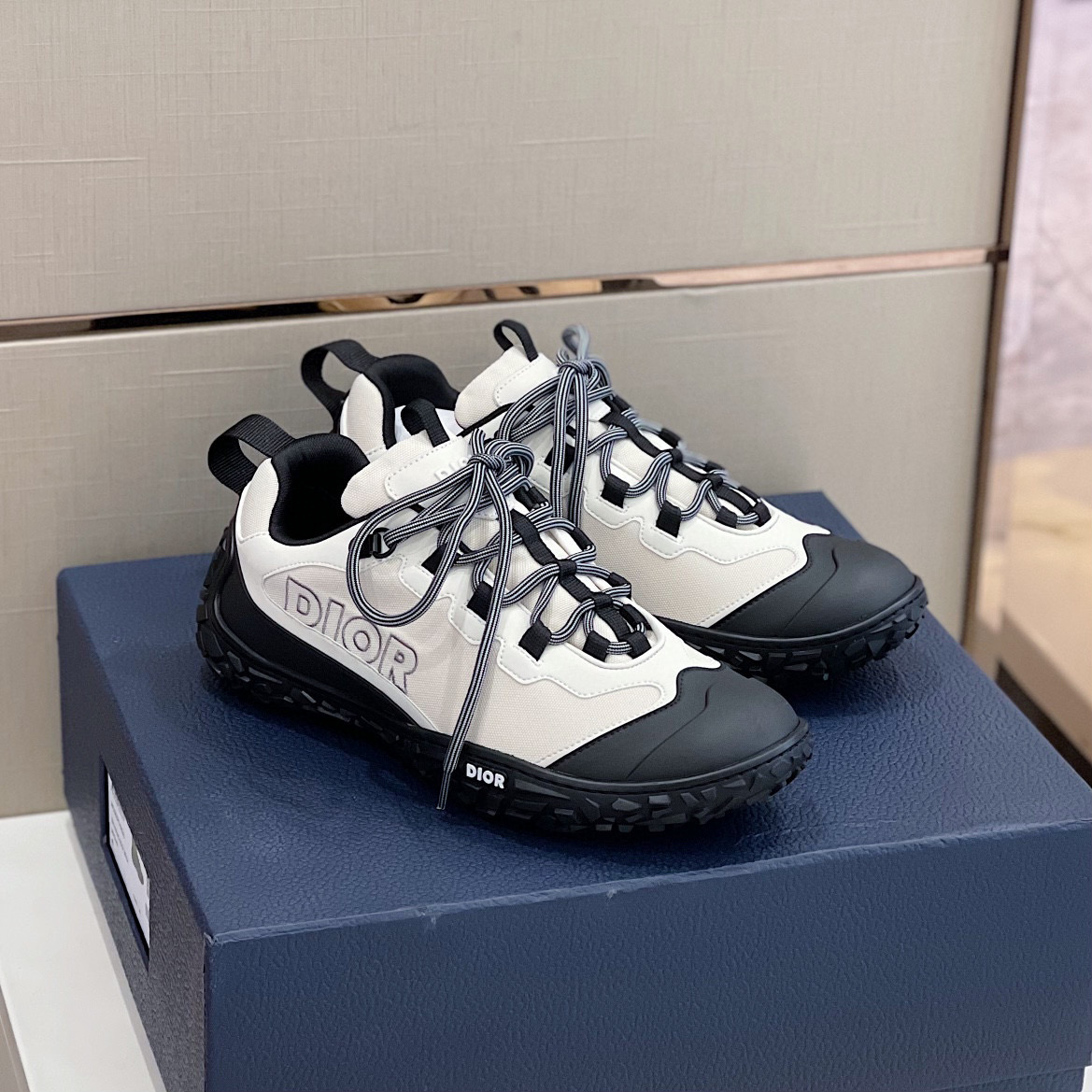 Dior Mesh Fabric Logo Sneaker Shoes #nigo8488