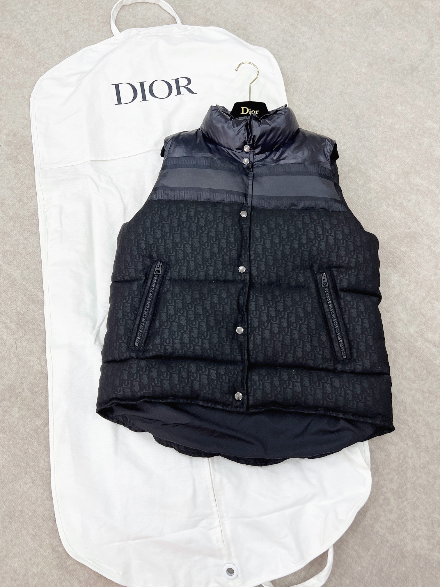 Dior ALPS Leather Printed Sleeveless Down Vest #nigo96475