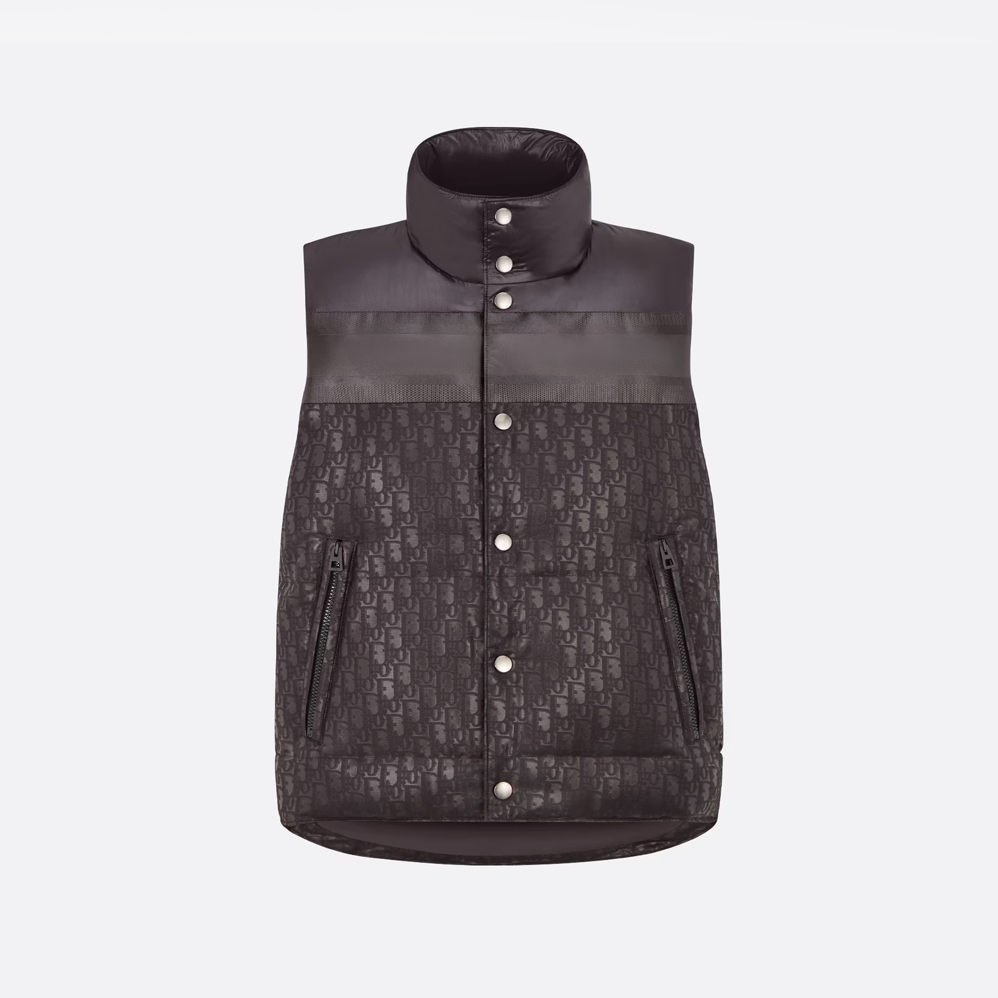 Dior ALPS Leather Printed Sleeveless Down Vest #nigo96475