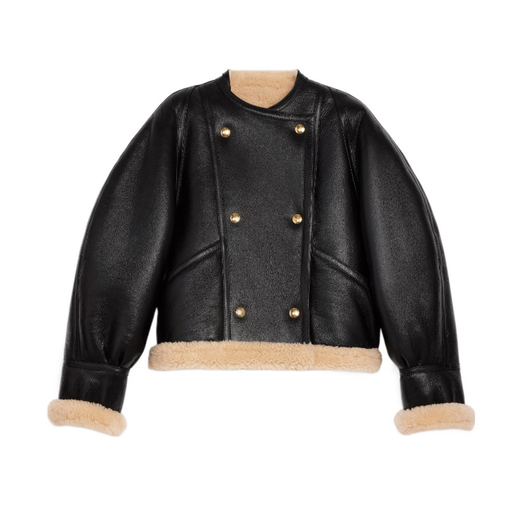 Celine Leather Pilot Jacket Coat Ngvp #nigo6643