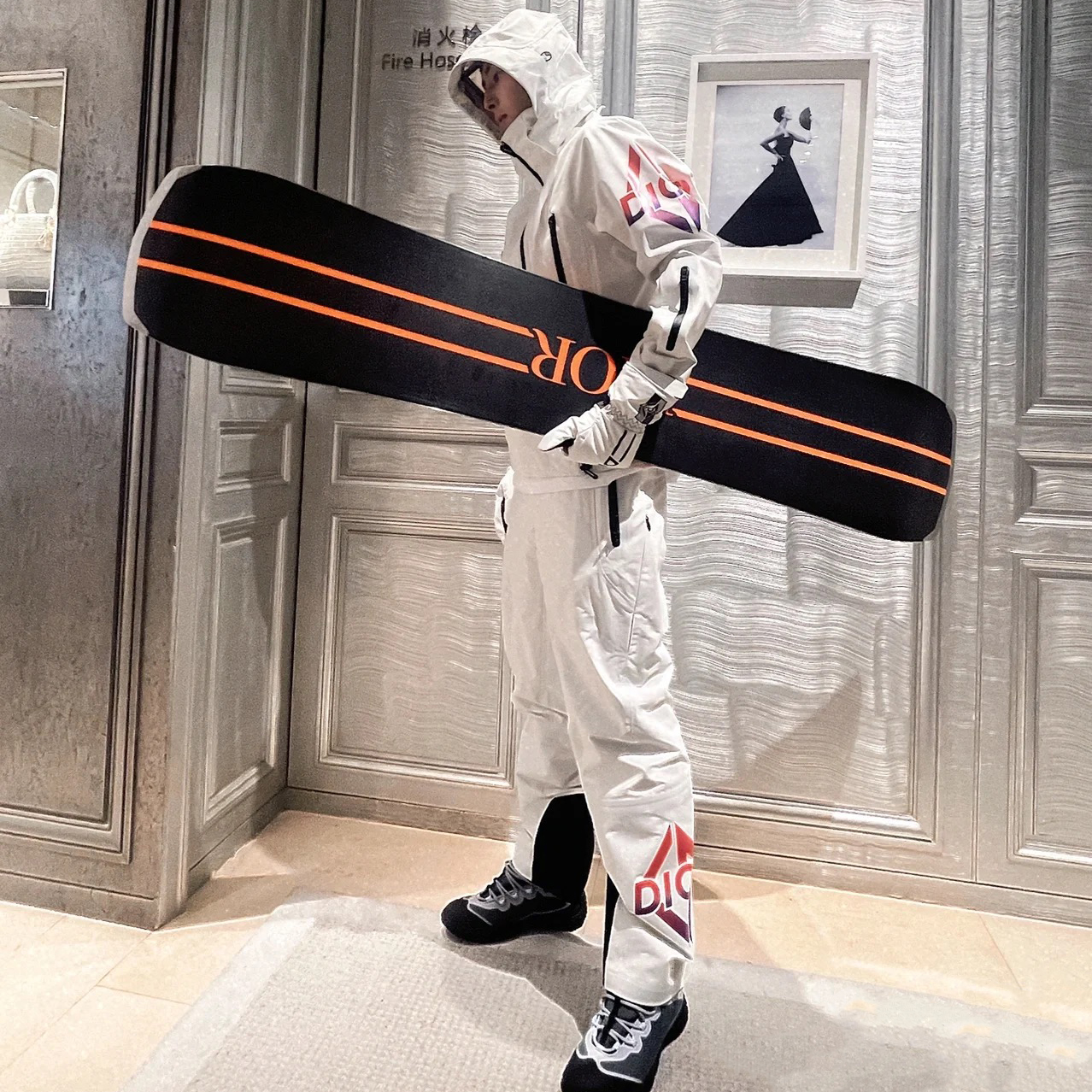 Dior Ski Jacket Pants Gloves 3 Piece Set Suit #nigo96688