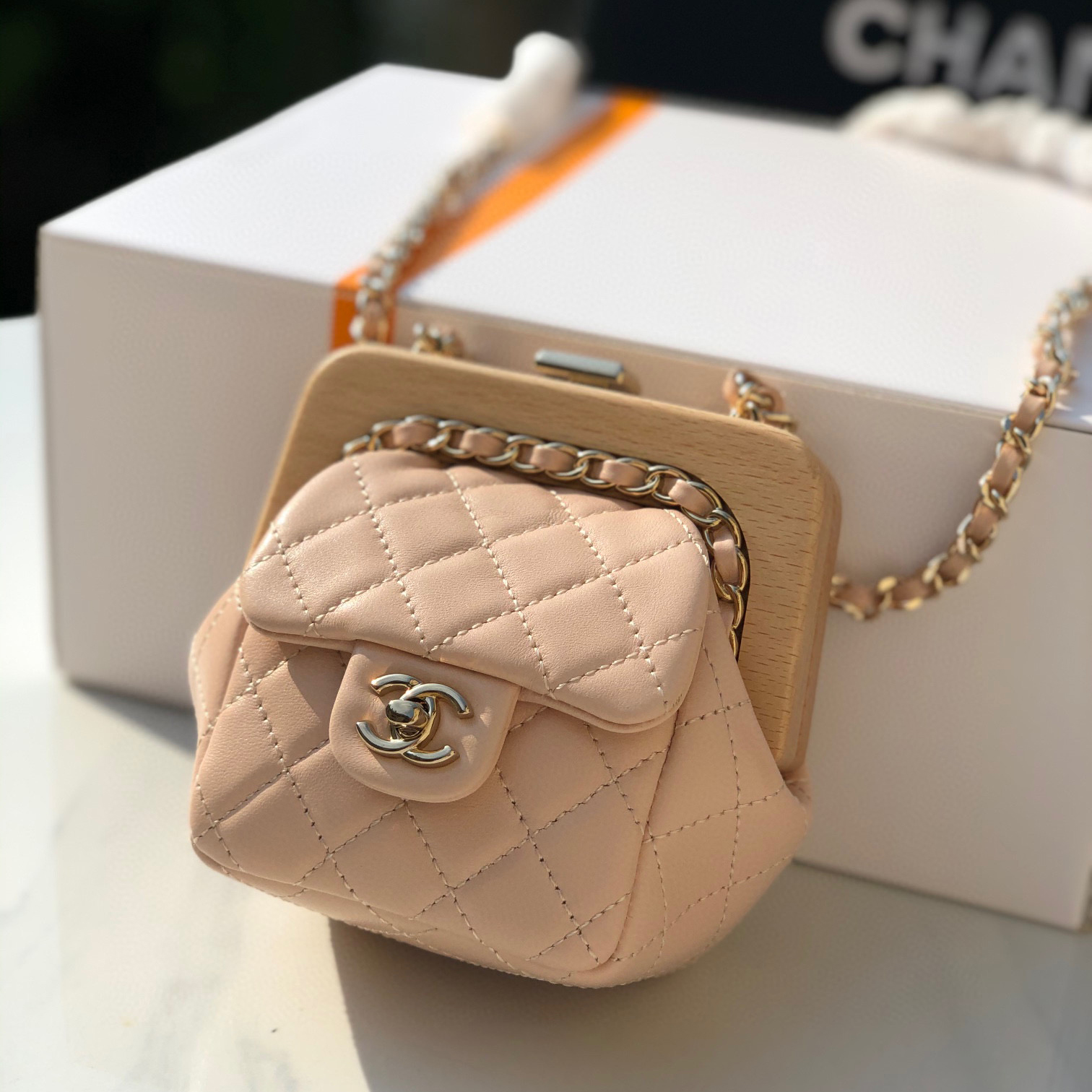 Chanel Leather Chain Diagonal Mini Bag #nigo22168