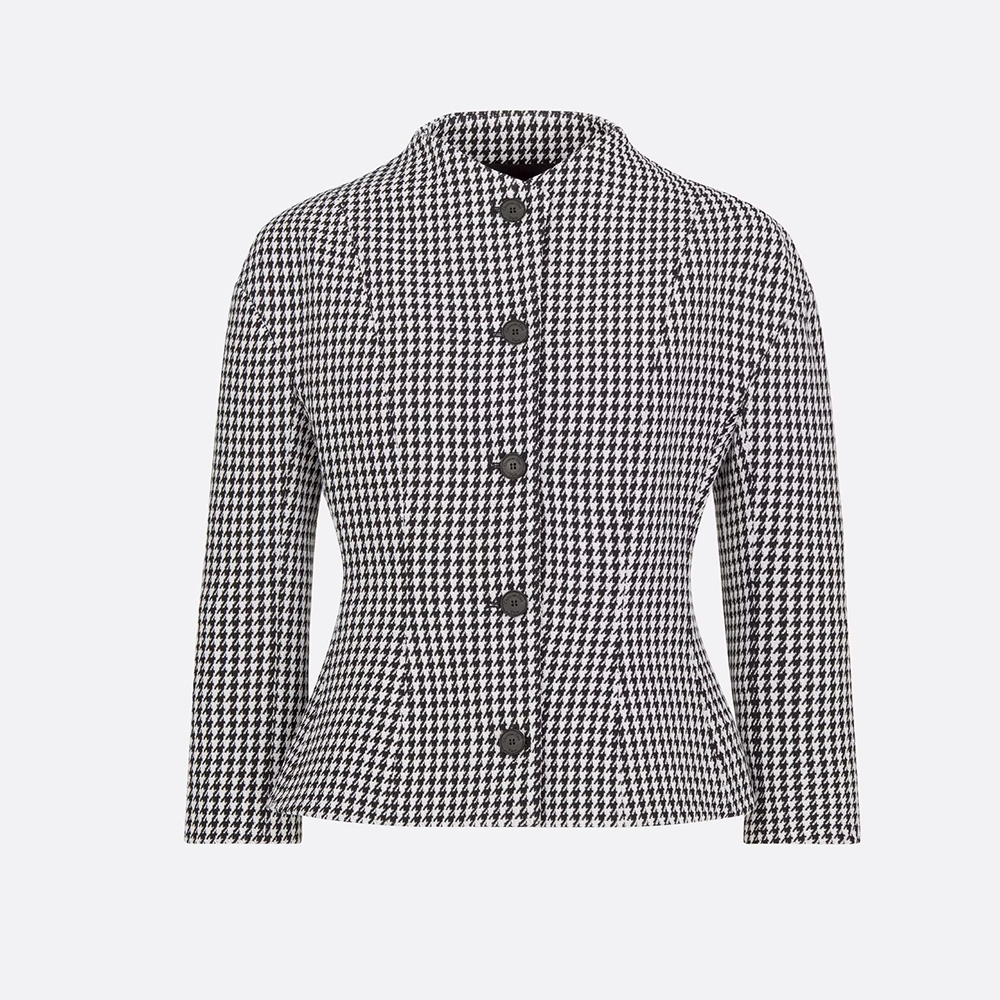 Dior Fitted Jacket With Officer Collar Ngvp #nigo6842