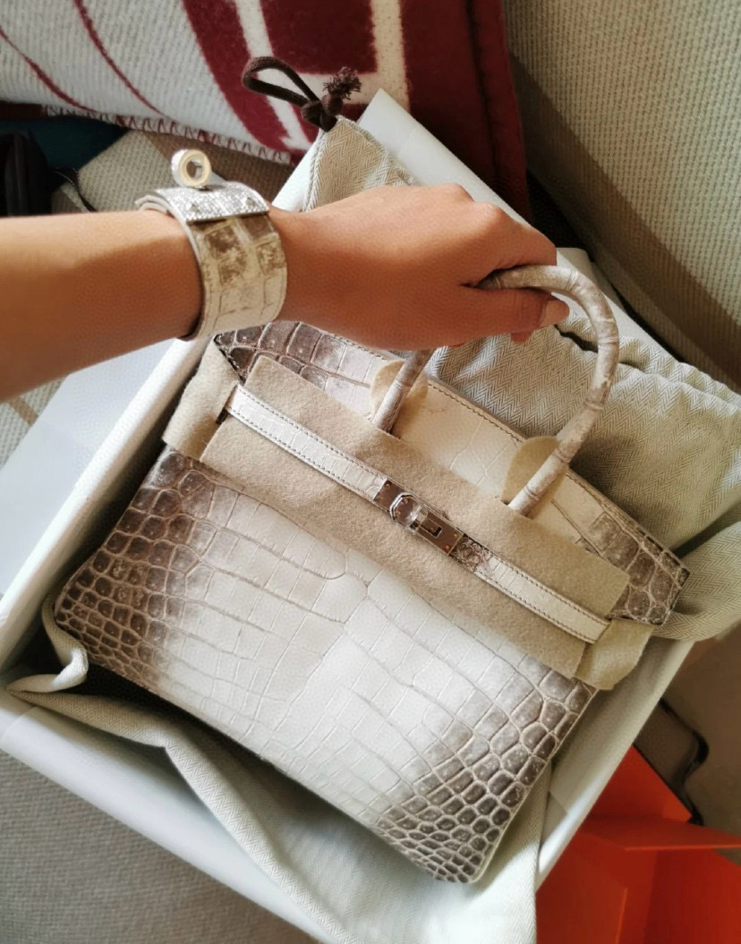 Hermes Kelly Lindy Himalaya Birkin Leather Handbag Bag Bags #nigo96458