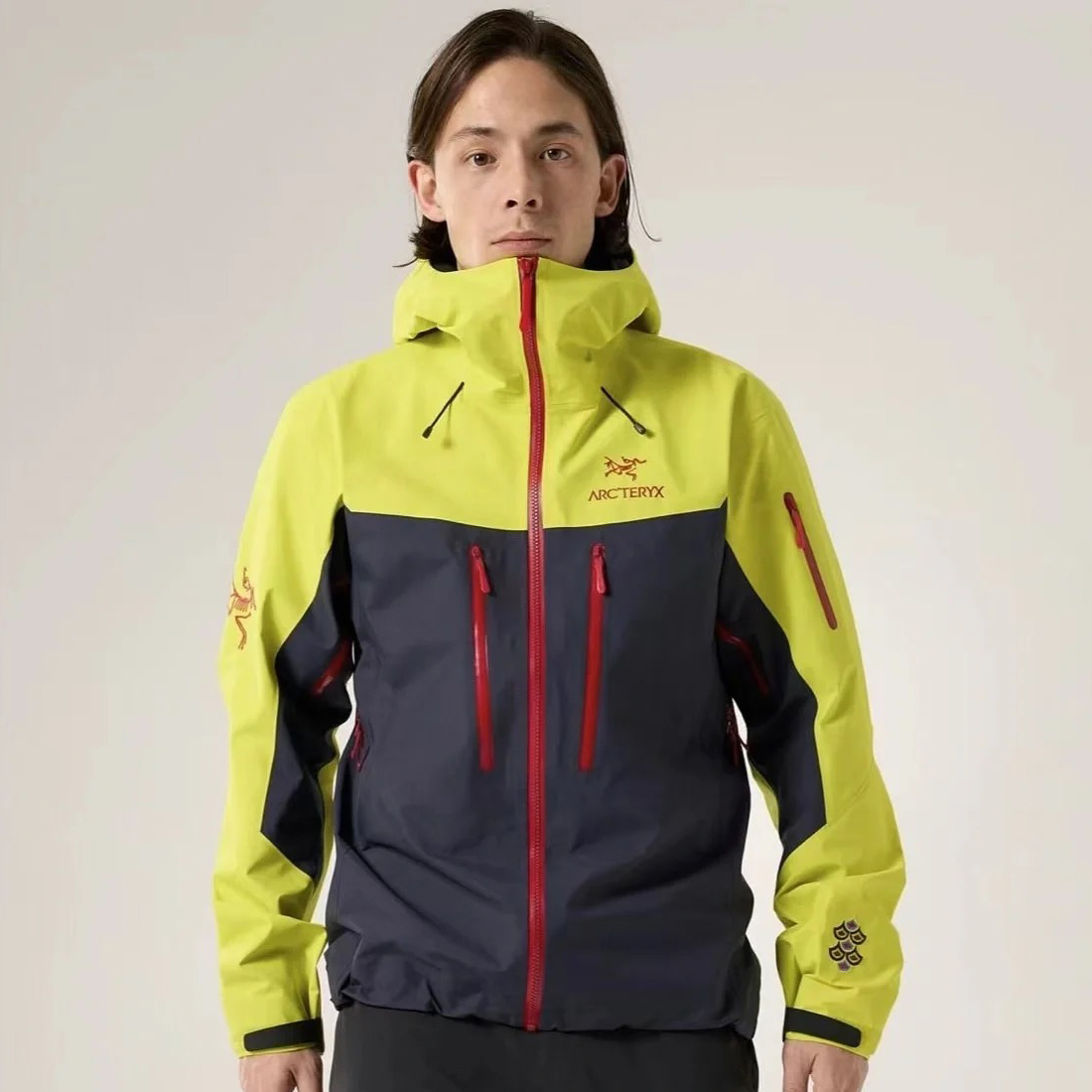 NIGO Arcteryx Men's Spring and Autumn ALPHA SV GORE-TEX Year of the Dragon Series Patchwork Outdoor Hooded Waterproof Windproof Jacket #nigo98372