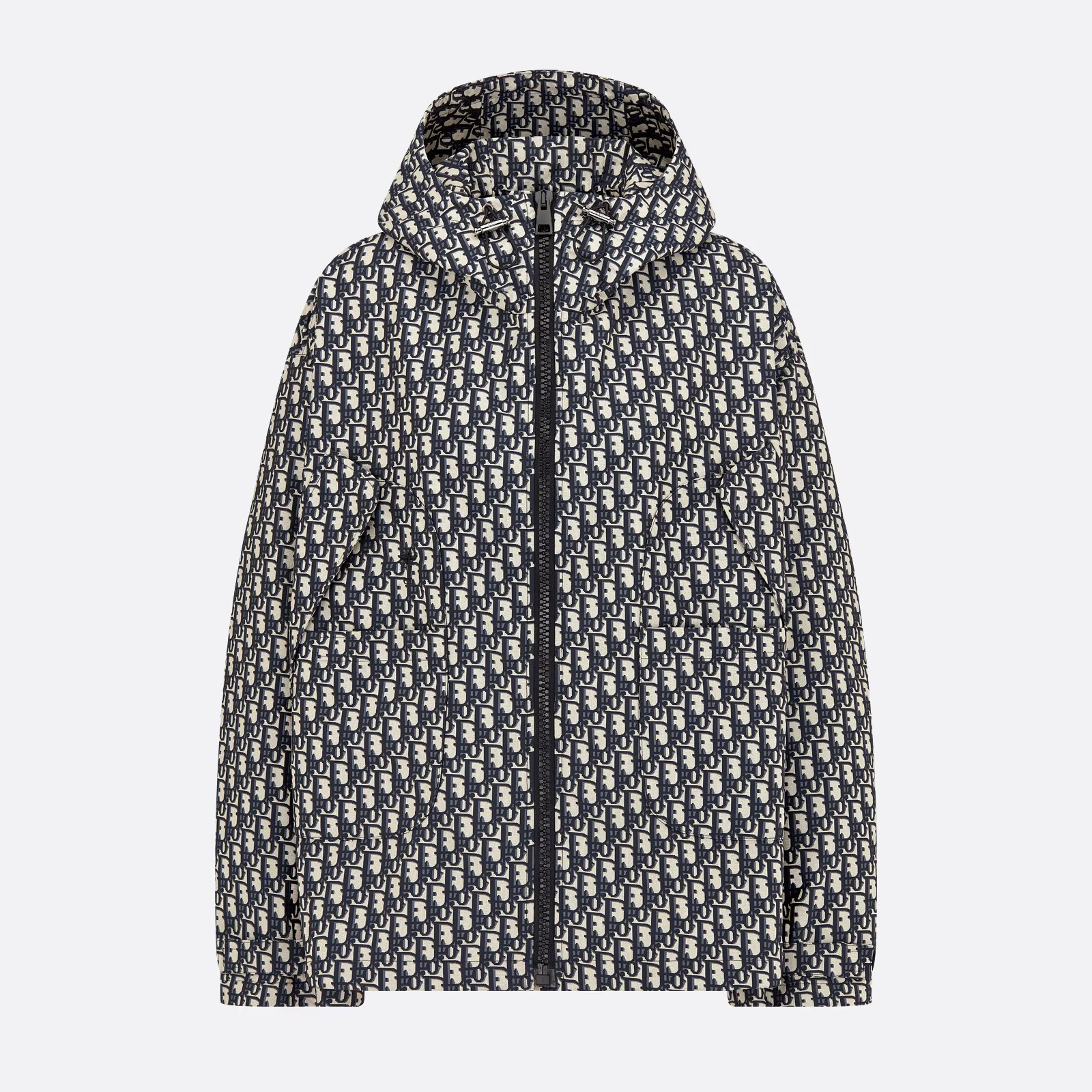 NIGO Dior Men's And Women's Spring and Autumn Logo Full Print Pattern Bee Embroidery Hooded Zipper Long Sleeve Jacket #nigo98539