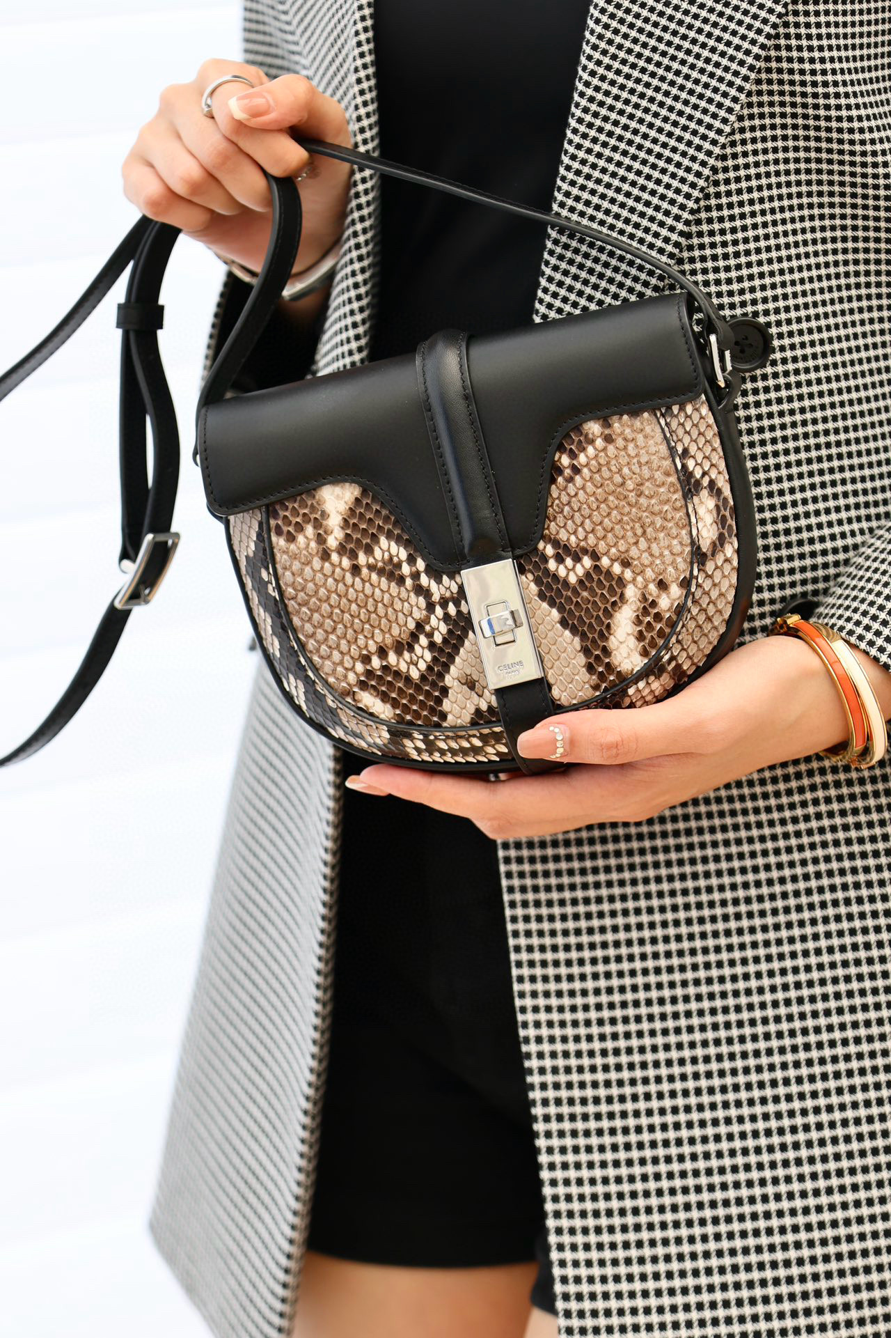 NIGO Celine Besace Women's Natural Python Leather With Cowhide Silver Buckle Handbag Bag Bags #nigo99394