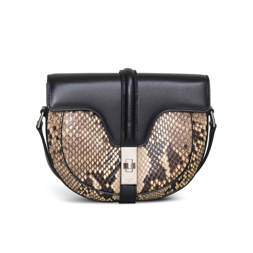 NIGO Celine Besace Women's Natural Python Leather With Cowhide Silver Buckle Handbag Bag Bags #nigo99394