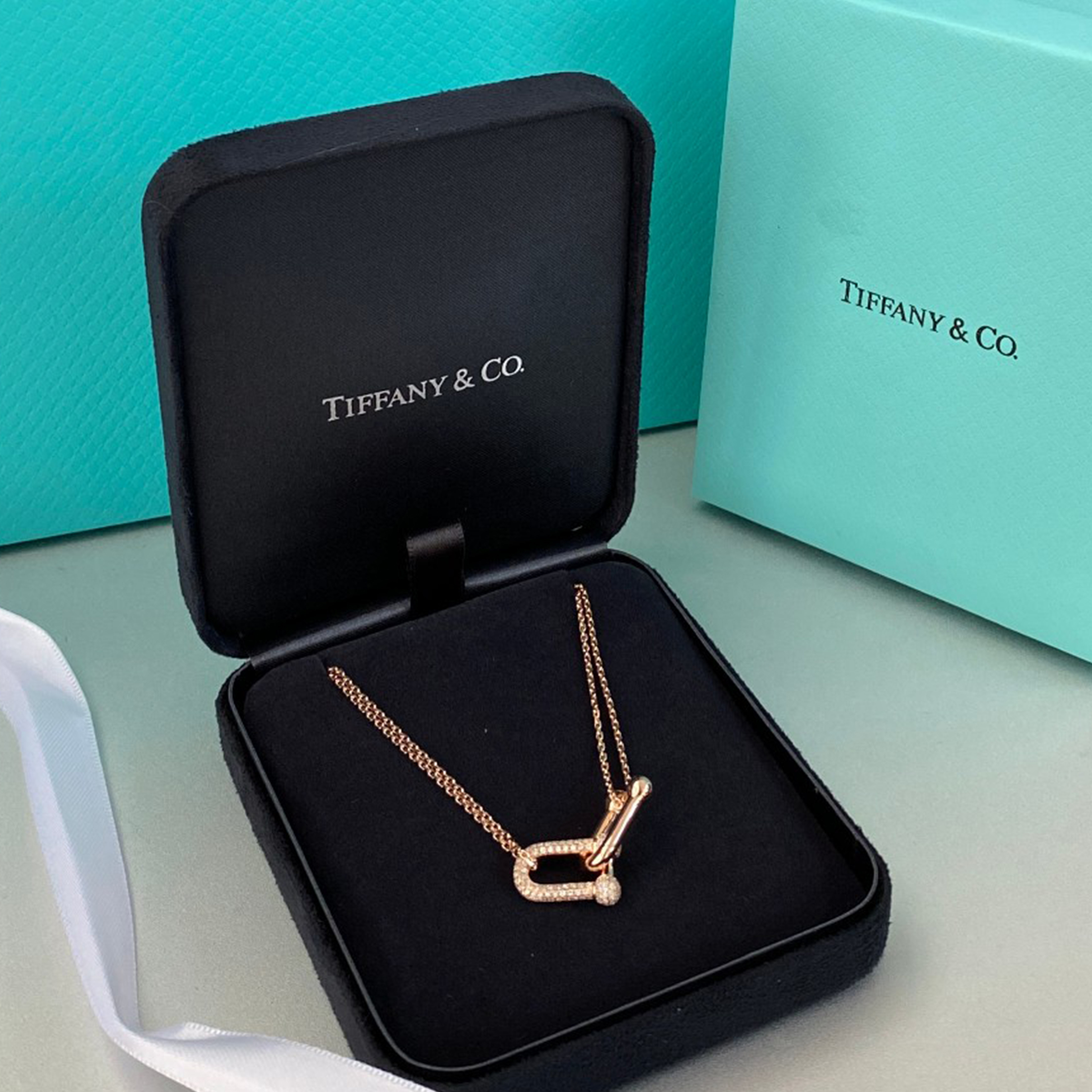 NIGO Tiffany & Co. Women's Double Chain Buckle Necklace Luxury Diamond Style Casual Necklace Jewelry Accessories #nigo71289