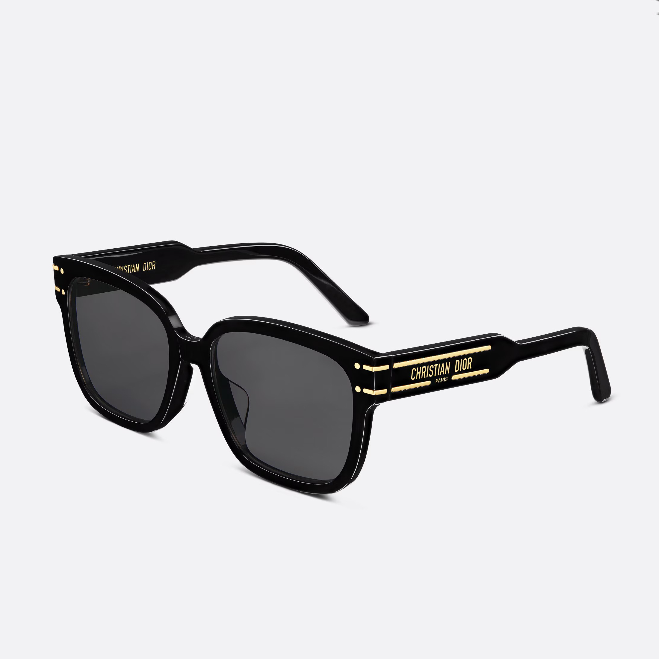 NIGO Dior DiorSignature S7F Women's Black Lens Logo Acetate Metal Irregular Shape Sunglasses Glasses #nigo72544