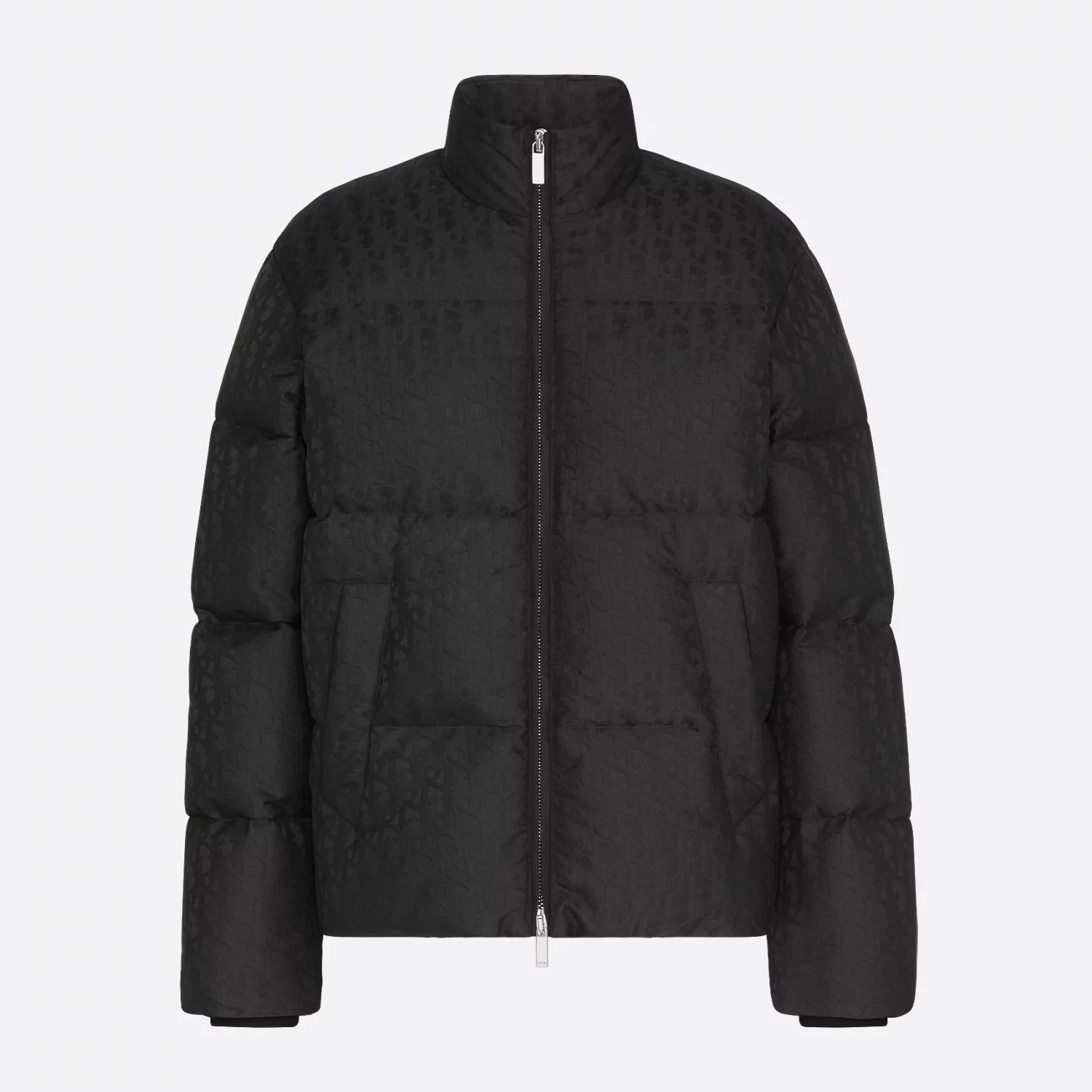 Nigo Dior Men's Winter Solid Color Logo Full Print Zipper Collar Down Long Sleeve Puffer Down Jacket #nigo74162