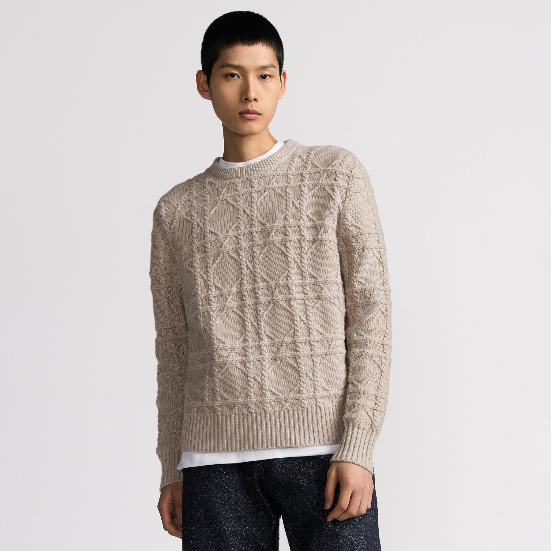NIGO Dior Men's Spring and Autumn Solid Color Printed Ribbed Crew Neck Knit Sweater #nigo75185