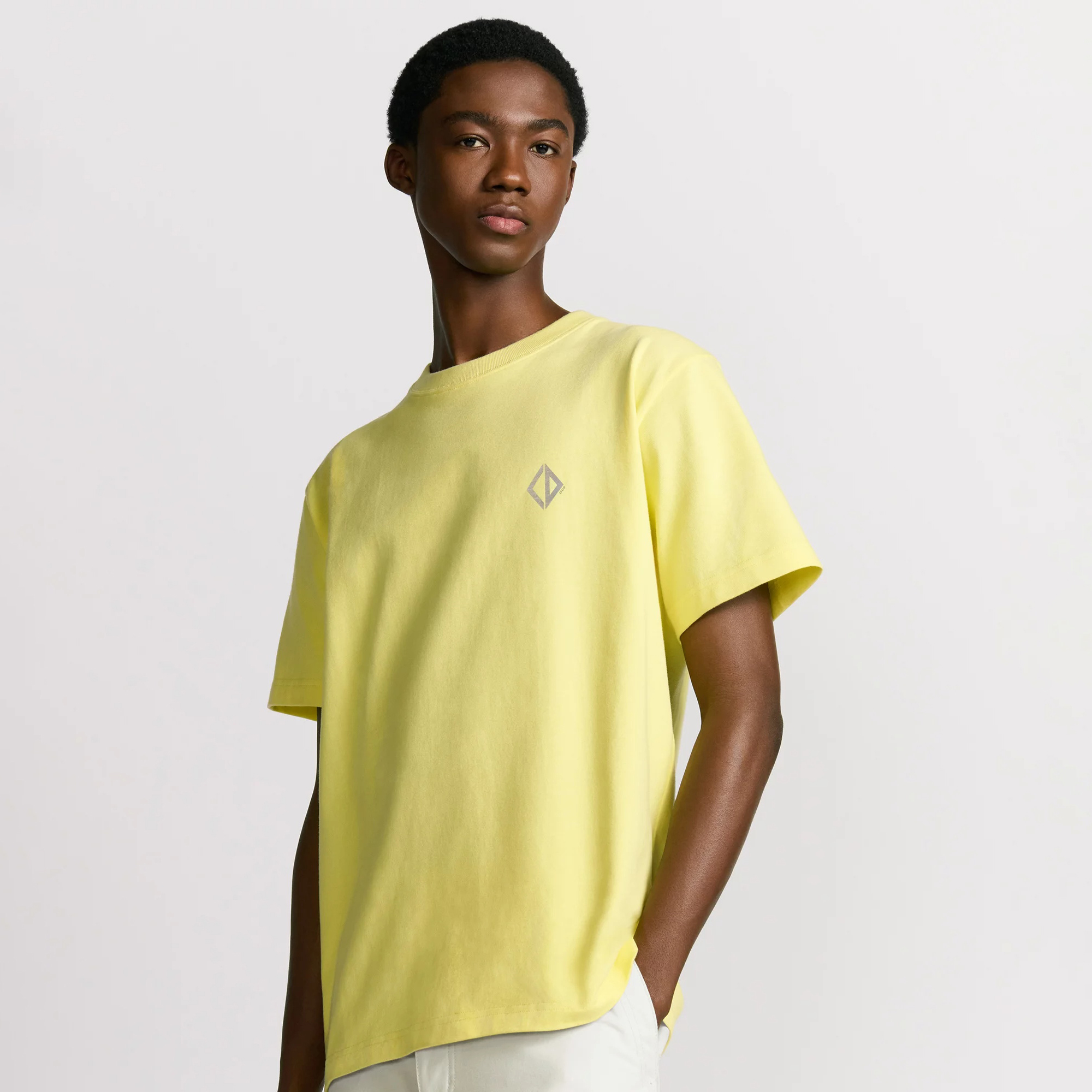 NIGO Dior Men's Summer Dior Solid Color Cotton Round Neck Loose Short Sleeve T-Shirt #nigo76267