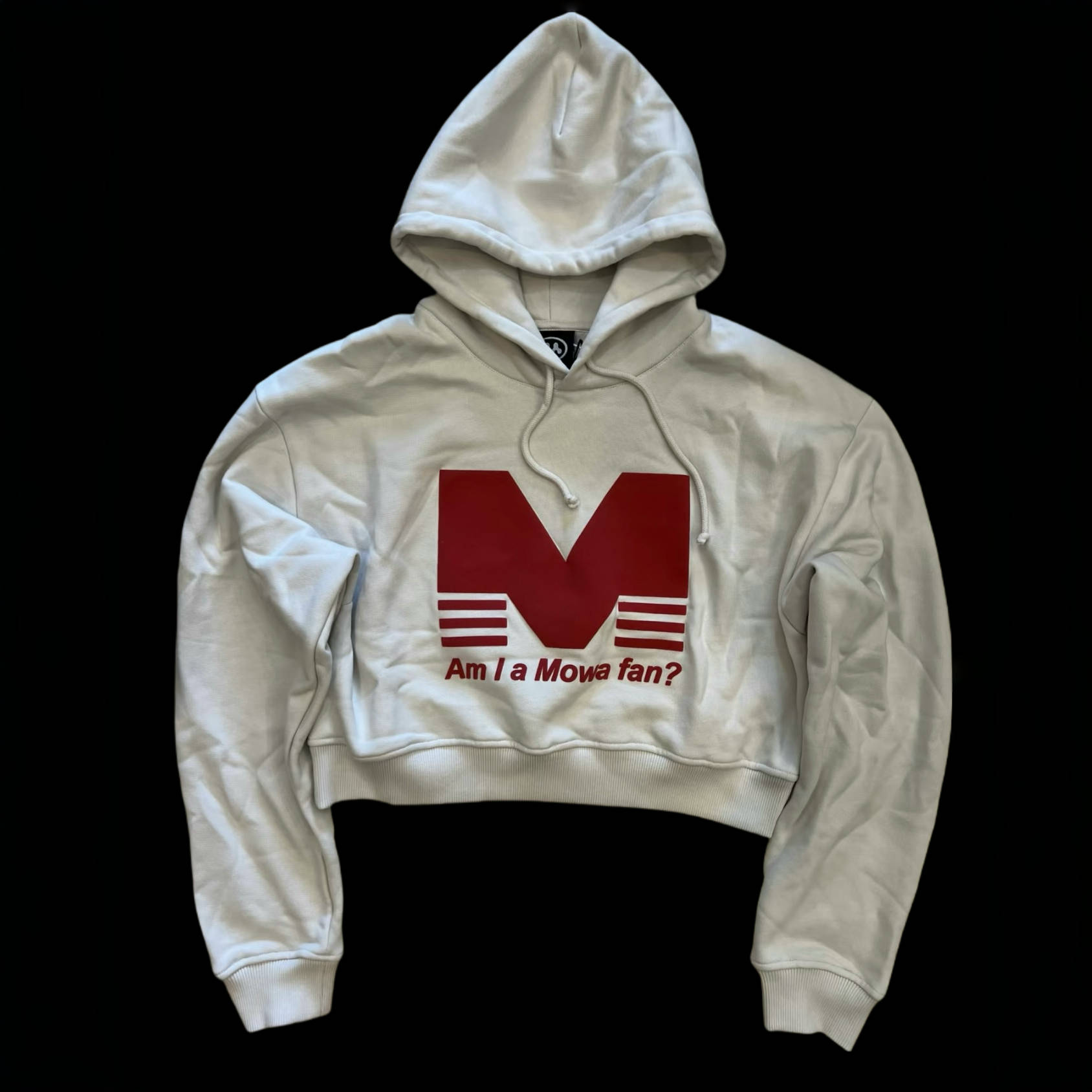 NIGO Mowalola Men's Spring Autumn White Letter Print Hooded Sweatshirt High Street Short Fashion Trend Pullover Sweatshirt Ngvp #nigo1645