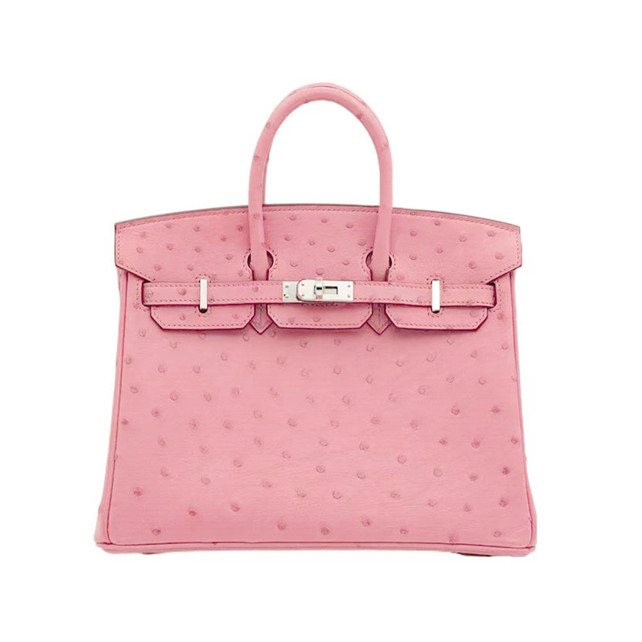 NIGO Hermes Women's Birkin 25 Ostrich Leather Platinum Bag With Silver Buckle Handbag Casual Solid Color Bag Bags H041944CK94 #nigo2137