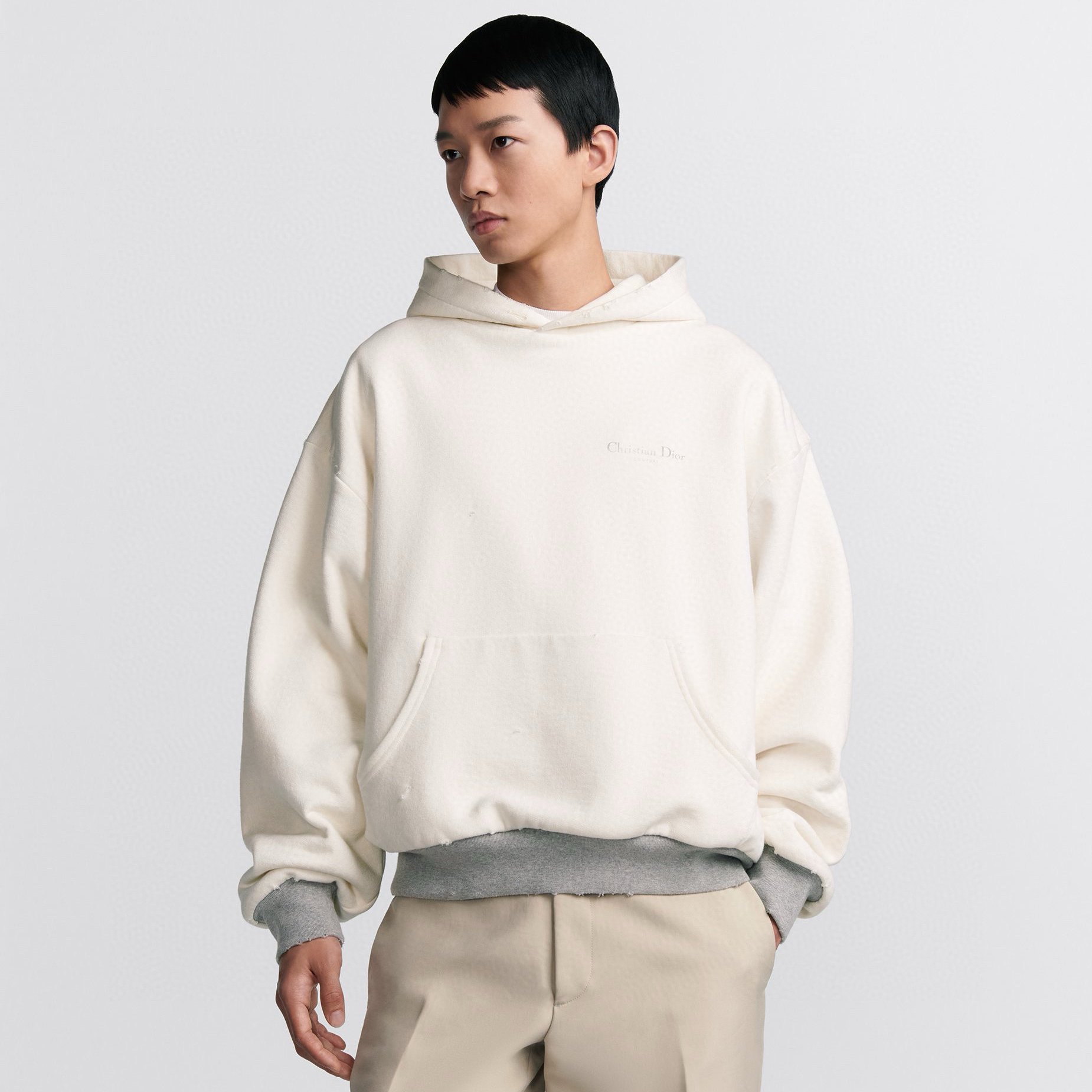 NIGO Dior Men's Spring/Fall Casual Cotton Oversized Logo Letter Print Hooded Long Sleeve Sweatshirt #nigo78489