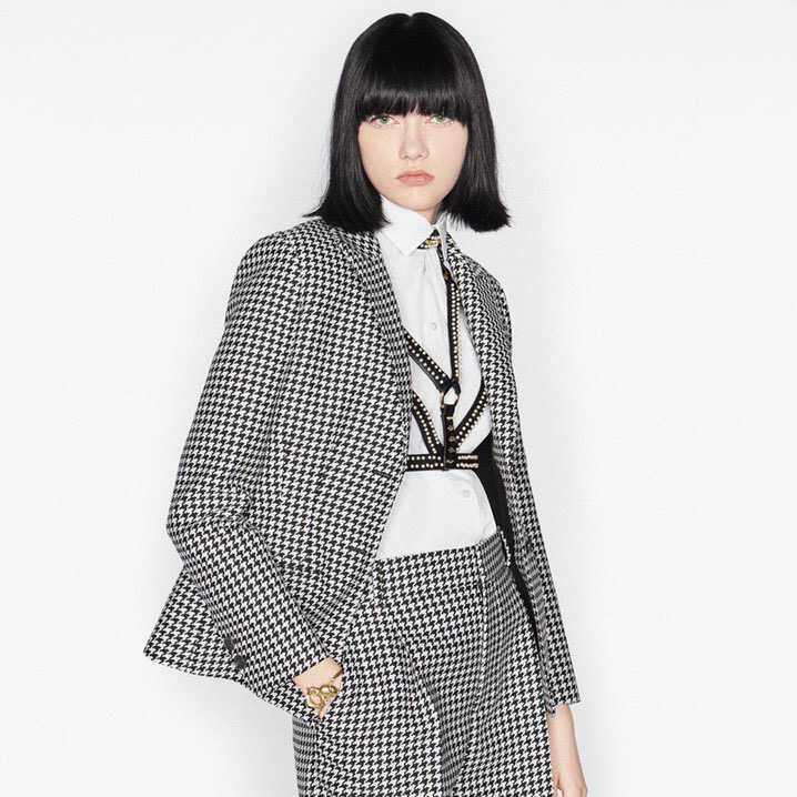 NIGO Dior Women's Stylish Classic V-Neck Single-Breasted Houndstooth Wool Blazer Jacket #nigo78675