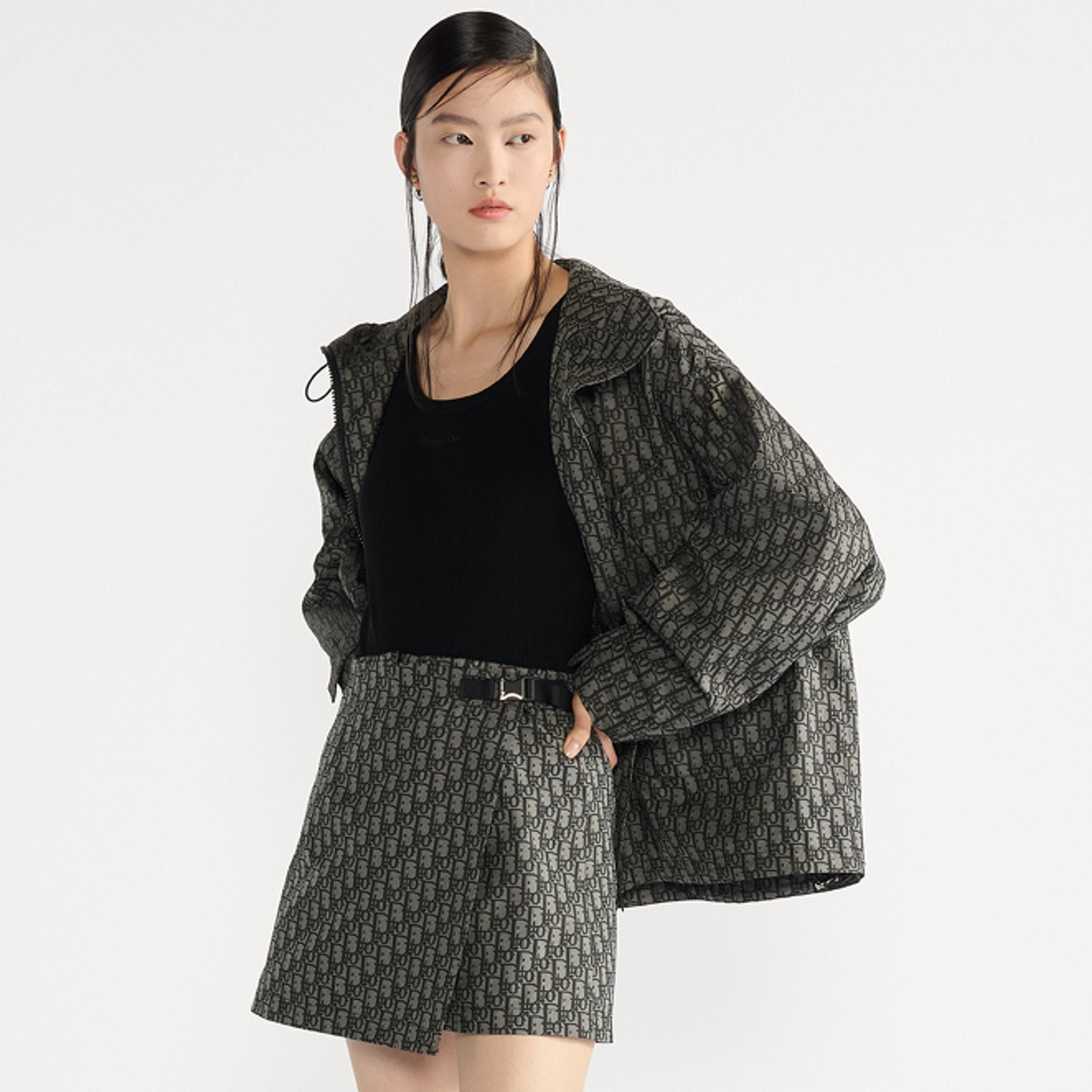 NIGO Dior Women's Spring/Fall Fashion Casual Hooded Zipper Jacket with Oblique Print Jacquard Casual Skirt Skirt Set #nigo78938
