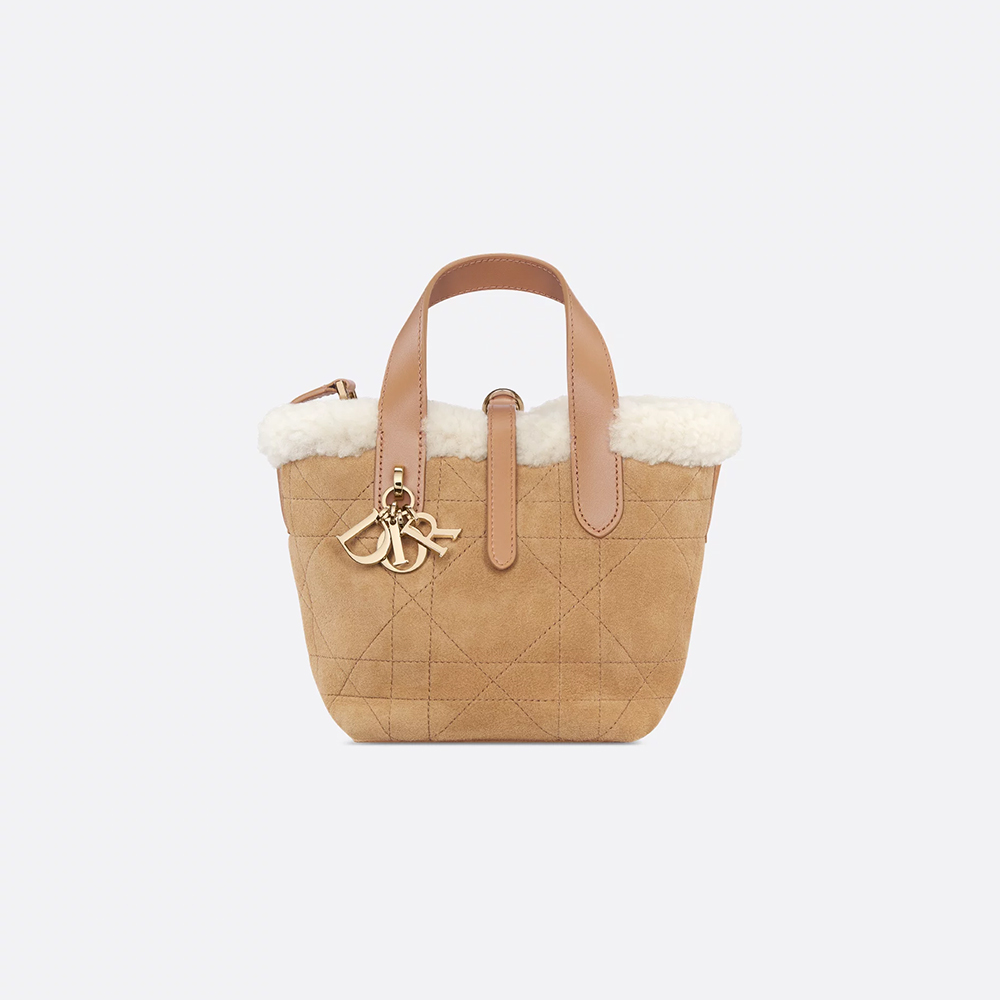 NIGO Dior Toujours Vertical Series Mini and Small Wool Model #nigo333368