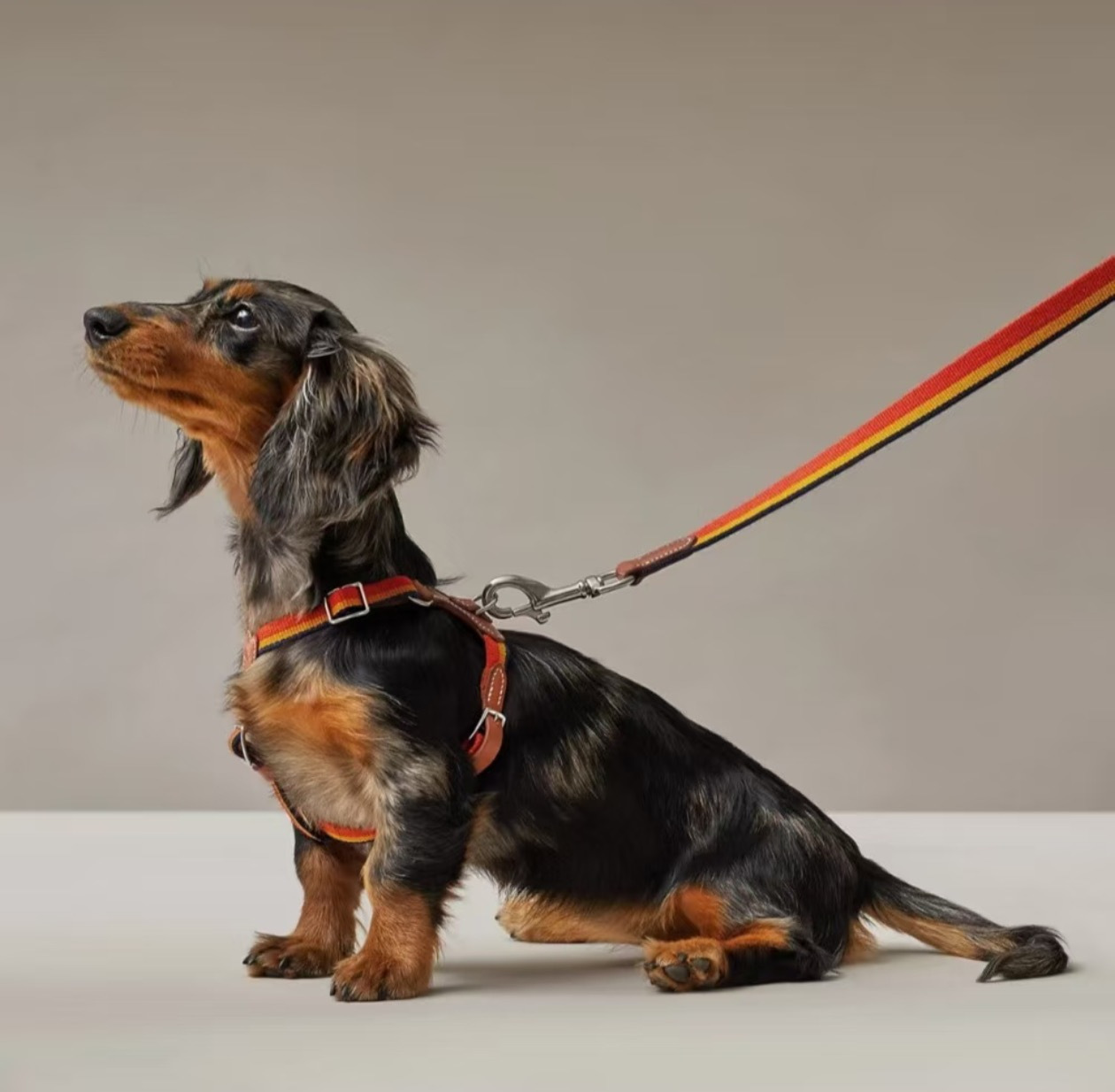 NIGO Hermes Rocabar Dog Harness Slim Dog Leash #nigo334398