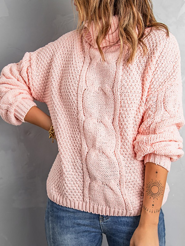 High Neck Long Sleeve Braided Sweater
