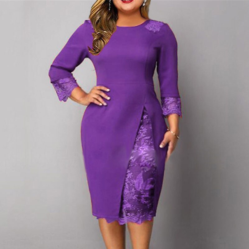 Women's Plus Size Party Dress Solid Color Round Neck Lace Dress