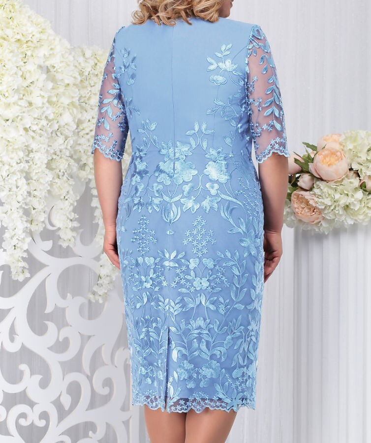 Women's Plus Size A Line Dress Midi Dress