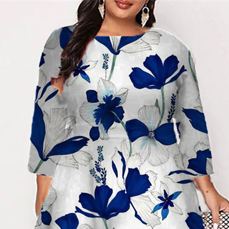 Women's Plus Size Curve A Line Dress