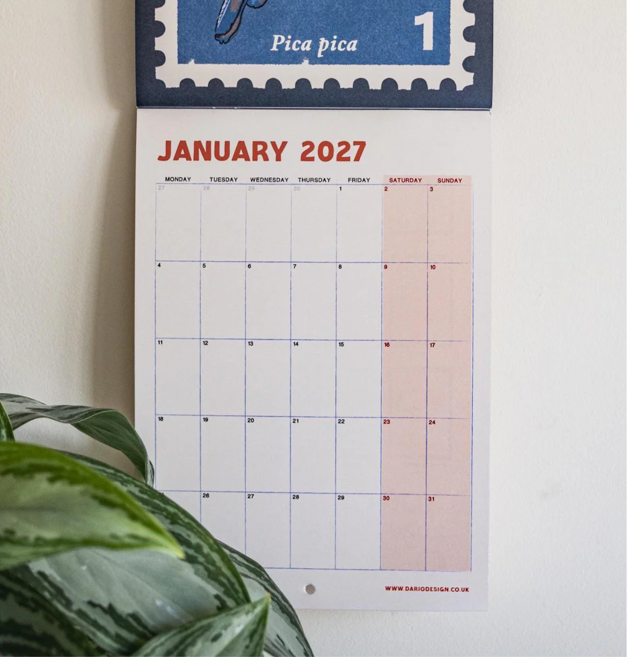 Songbirds - 2026 retro illustrated calendar