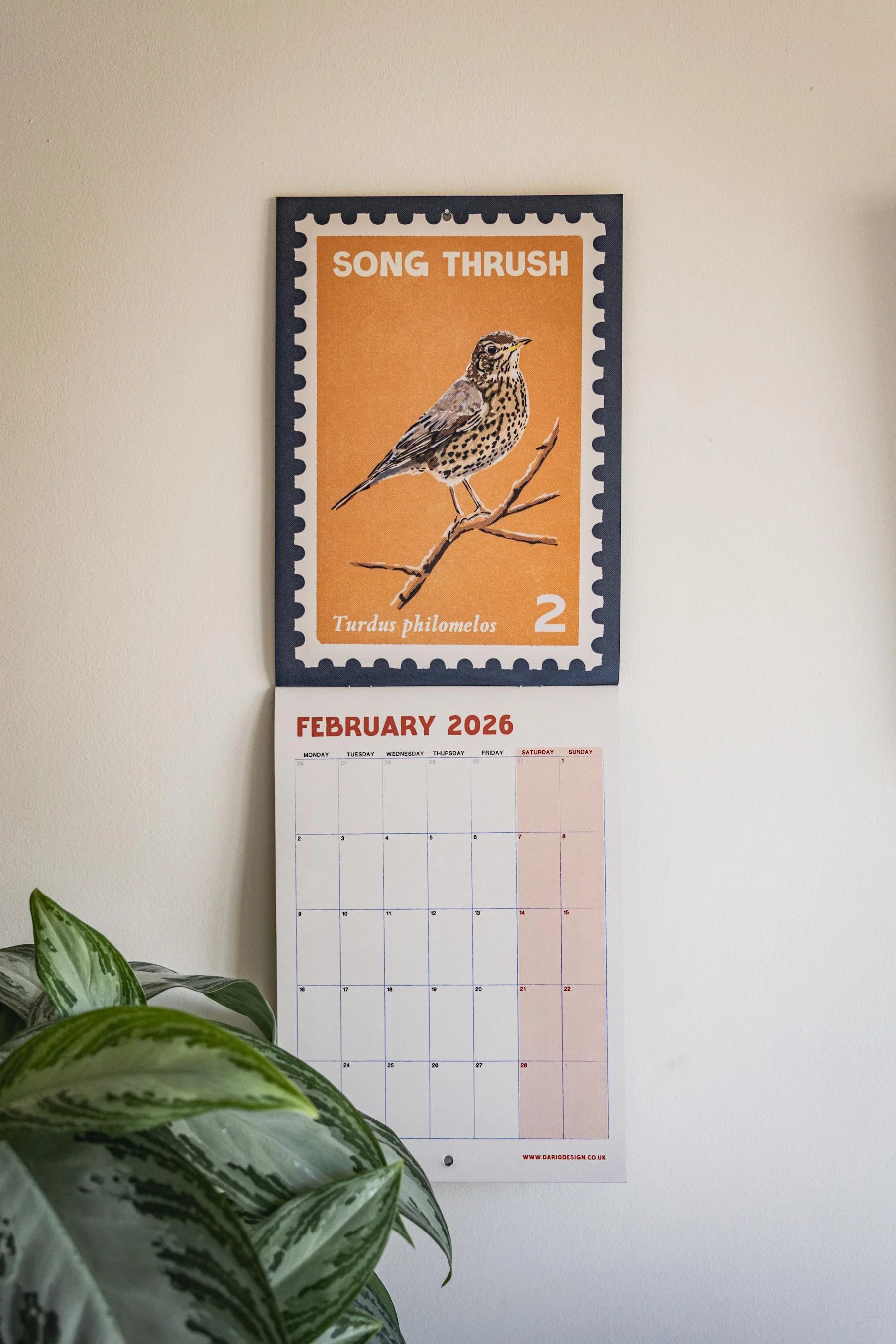 Songbirds - 2026 retro illustrated calendar