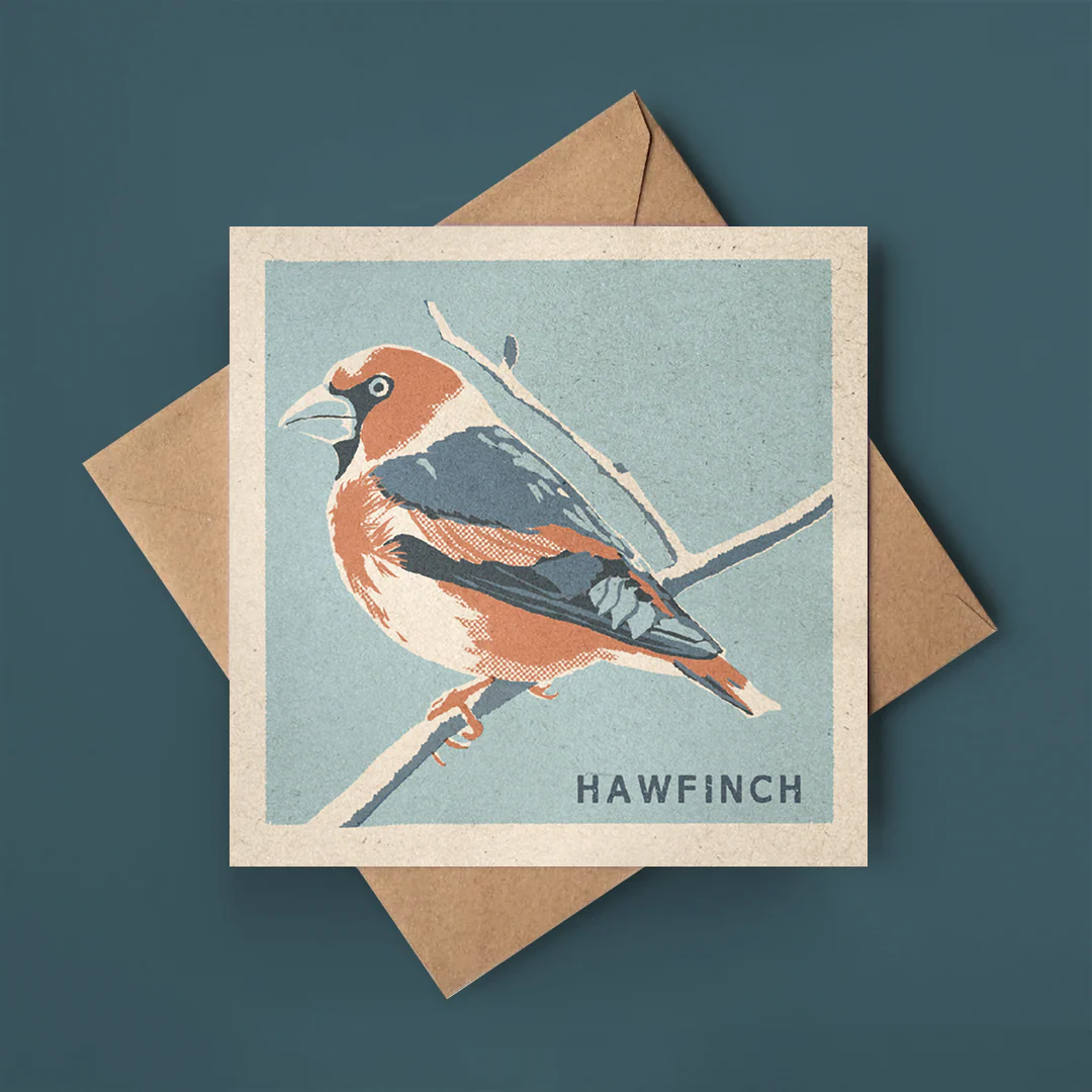 Hawfinch greeting card