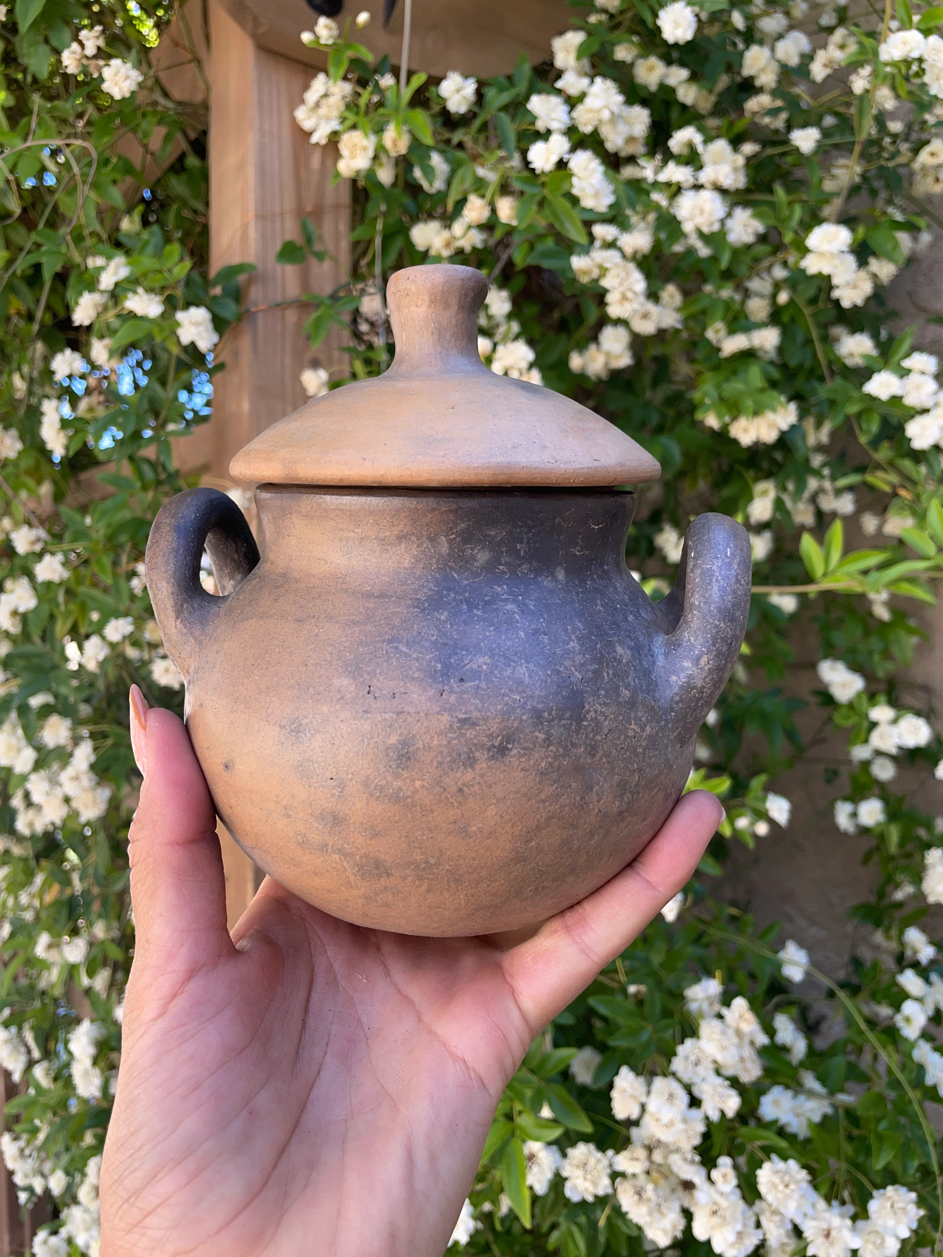Colores del Suelo Oaxaca Pottery Mini Clay Pot Ollita De Barro Azucarera
