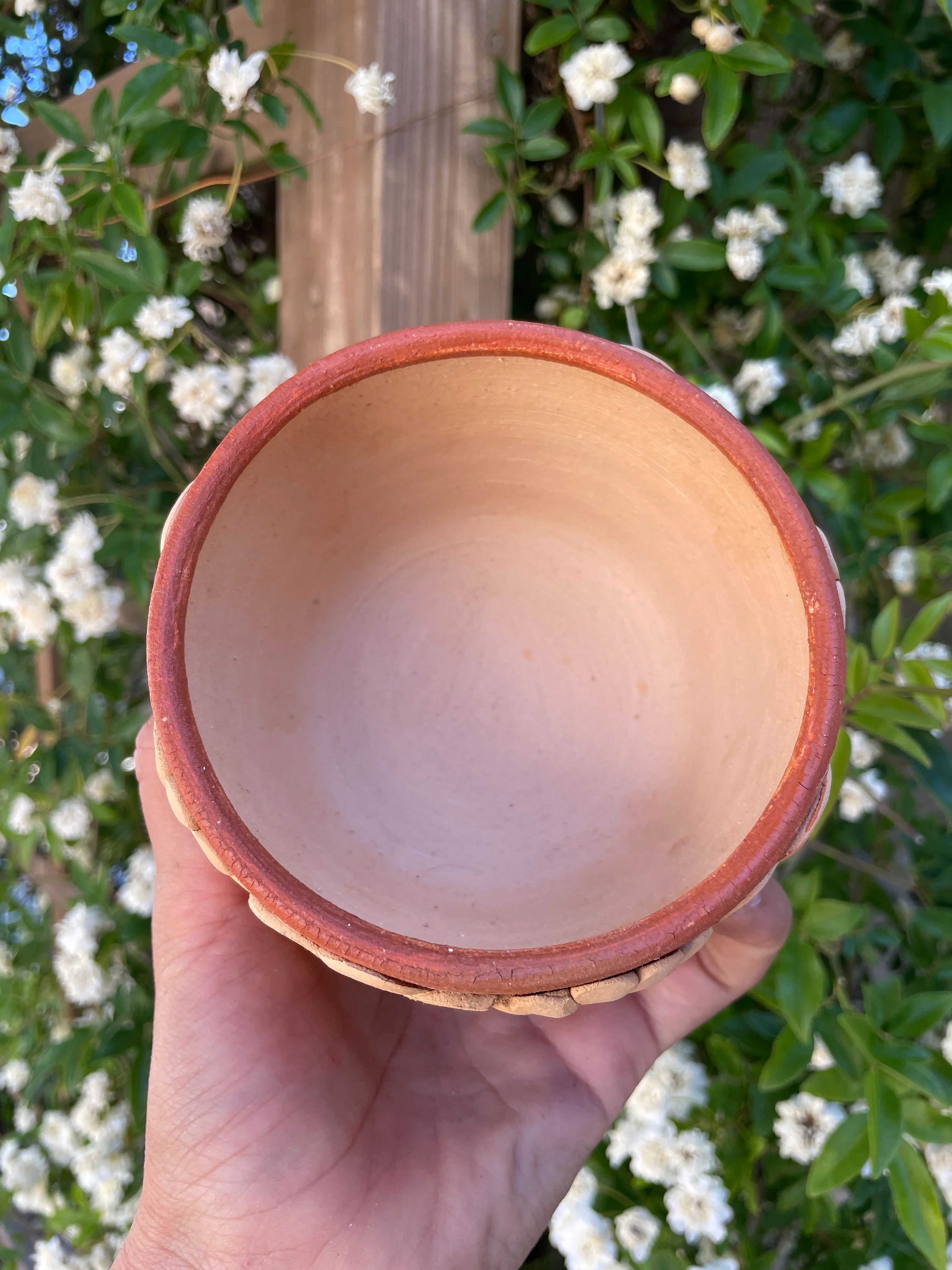 Colores del Suelo Oaxaca Clay Pottery Bowl Taz��n de Barro Bordado